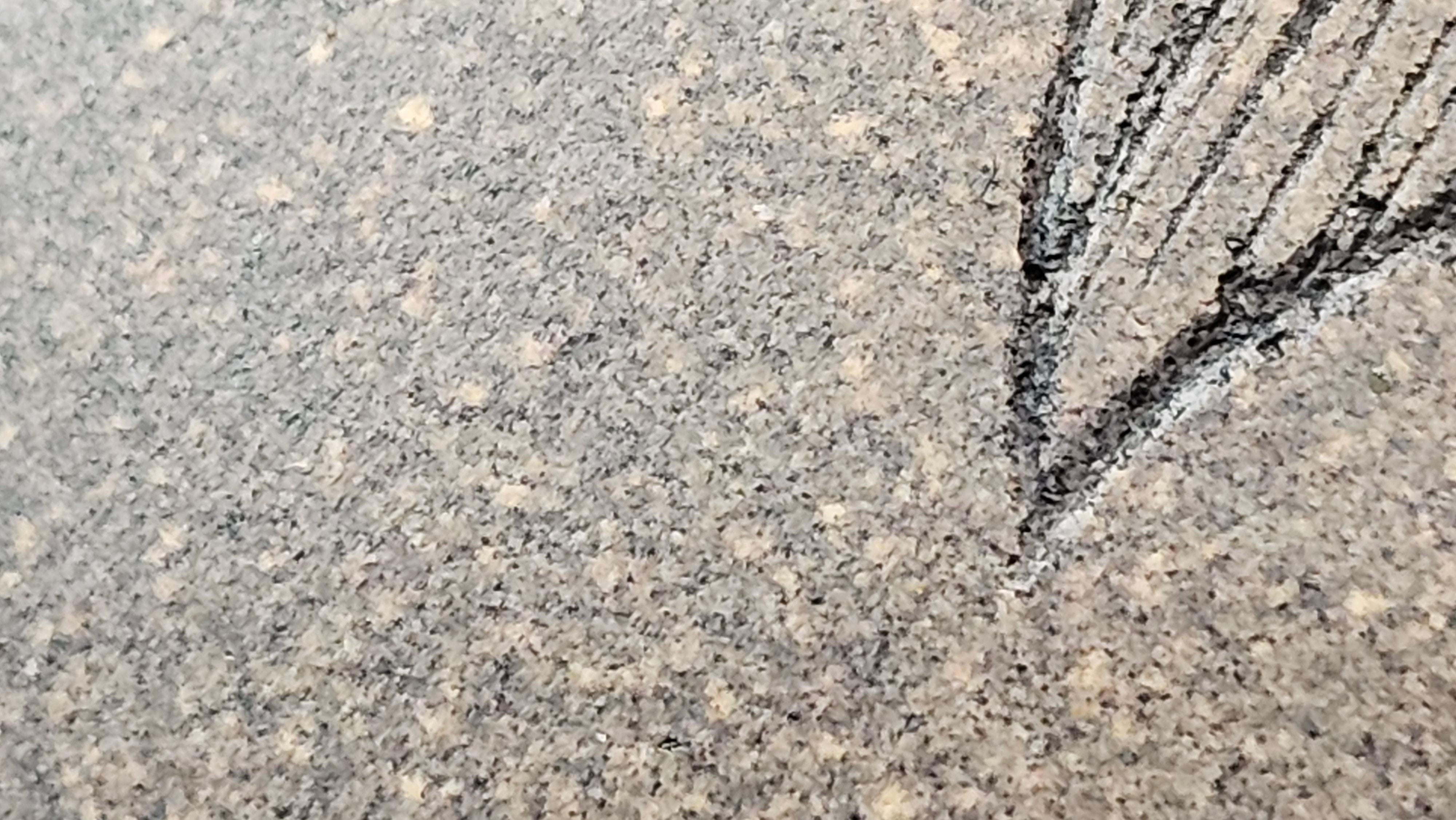 Ban Yue Hu《半月壶》~ "Half Moon Pot", 140.8ml, Qing Hui Duan 青灰段泥, by our Craftsman Zhang Huan 张欢, "Qing Gong Tu" 清供图 Engraving by Craftsman Nan Shan Lao Ren 南山老人 ~ Congratulations to Ms M.L.! 0831hrs 10th August 2025! Phoenix, AZ!