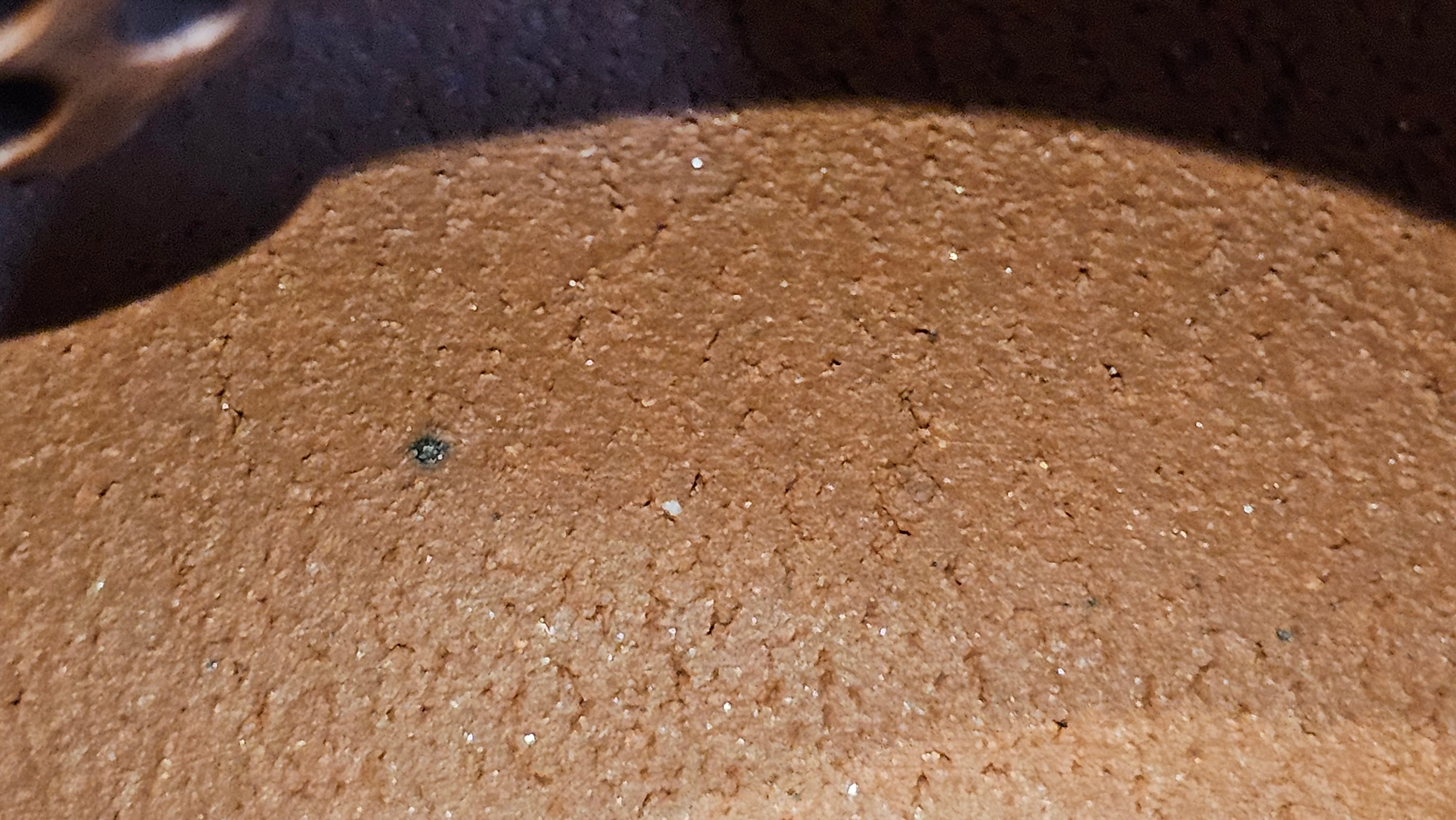 Xi Shi 西施, 144.5ml, Di Cao Qing Zi Ni 底槽青紫泥, by Craftsman Gu Xiao Ming 顾小明 ~ Congratulations!to Ms M.S., 2125hrs 11th August 2025, Conshohocken! PA.