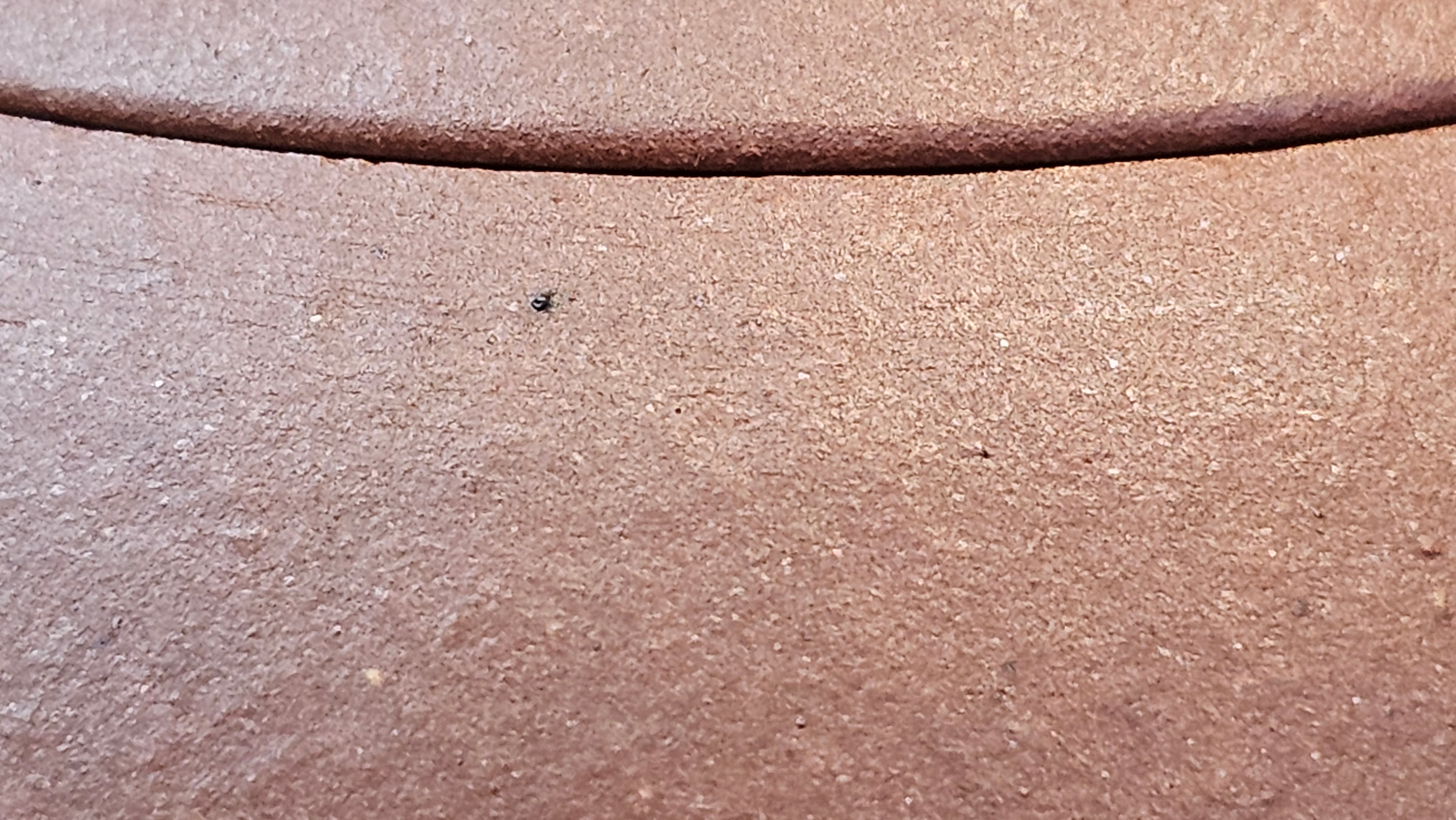 Xi Shi 西施, 144.3ml, Di Cao Qing Zi Ni 底槽青紫泥, by Craftsman Gu Xiao Ming 顾小明 ~ Congratulations to Mr S.K., 1429hrs!17th August 2025, Lymington, U.K.🇬🇧!