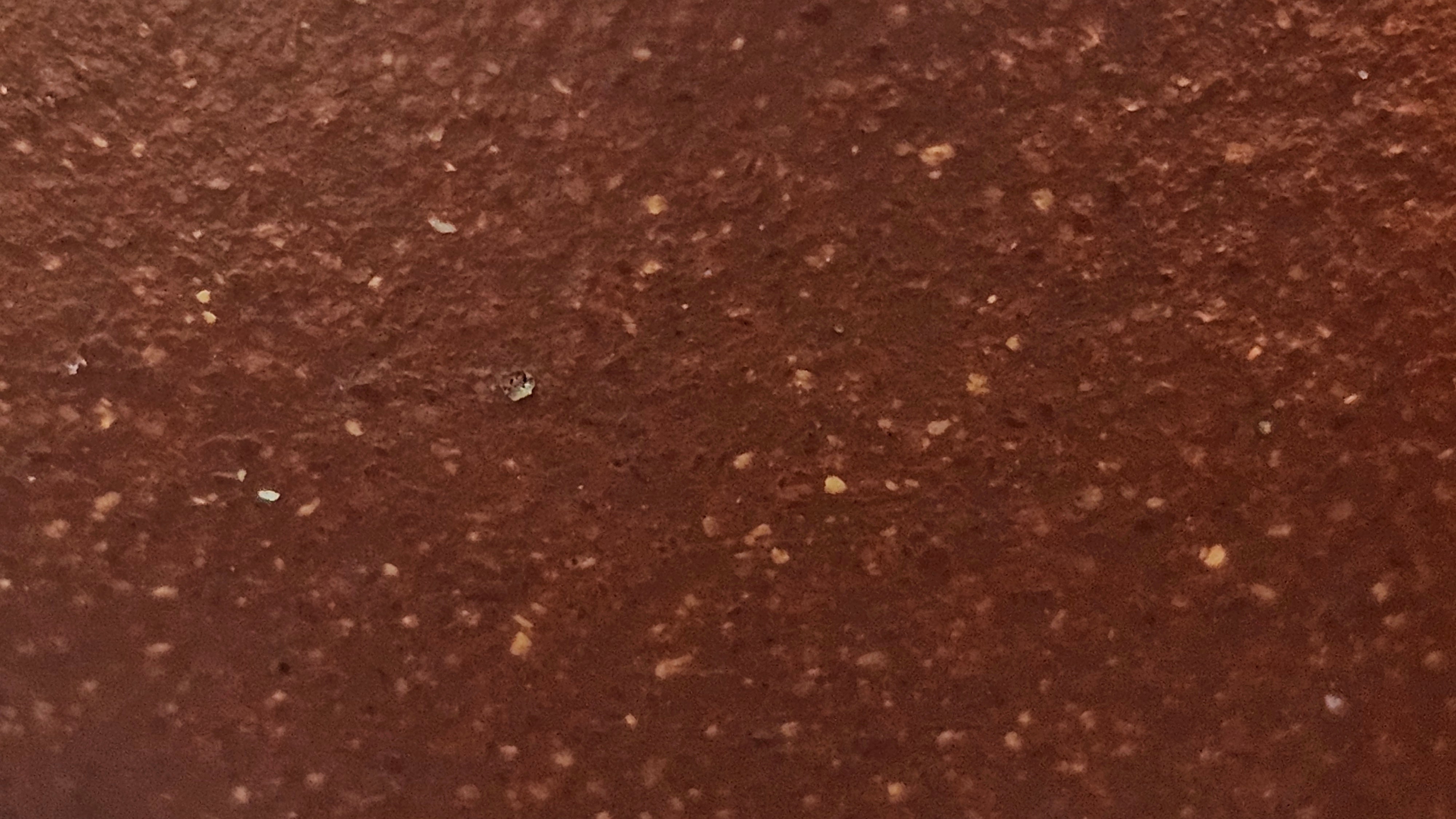 Han Wa 汉瓦 (Tai Hu Shi Knob 太湖石钮), 144.3ml, Hong Jiang Po Ni, by Craftsman Chen Gui Zhi (Red JiangPoNi rarer than Yellow JiangPoNi, XiaoMeiYao & ZhaoZhuang ZhuNi)~Congratulations to Ms J.P.! 14058hrs 16th August 2025! Salem, OR!