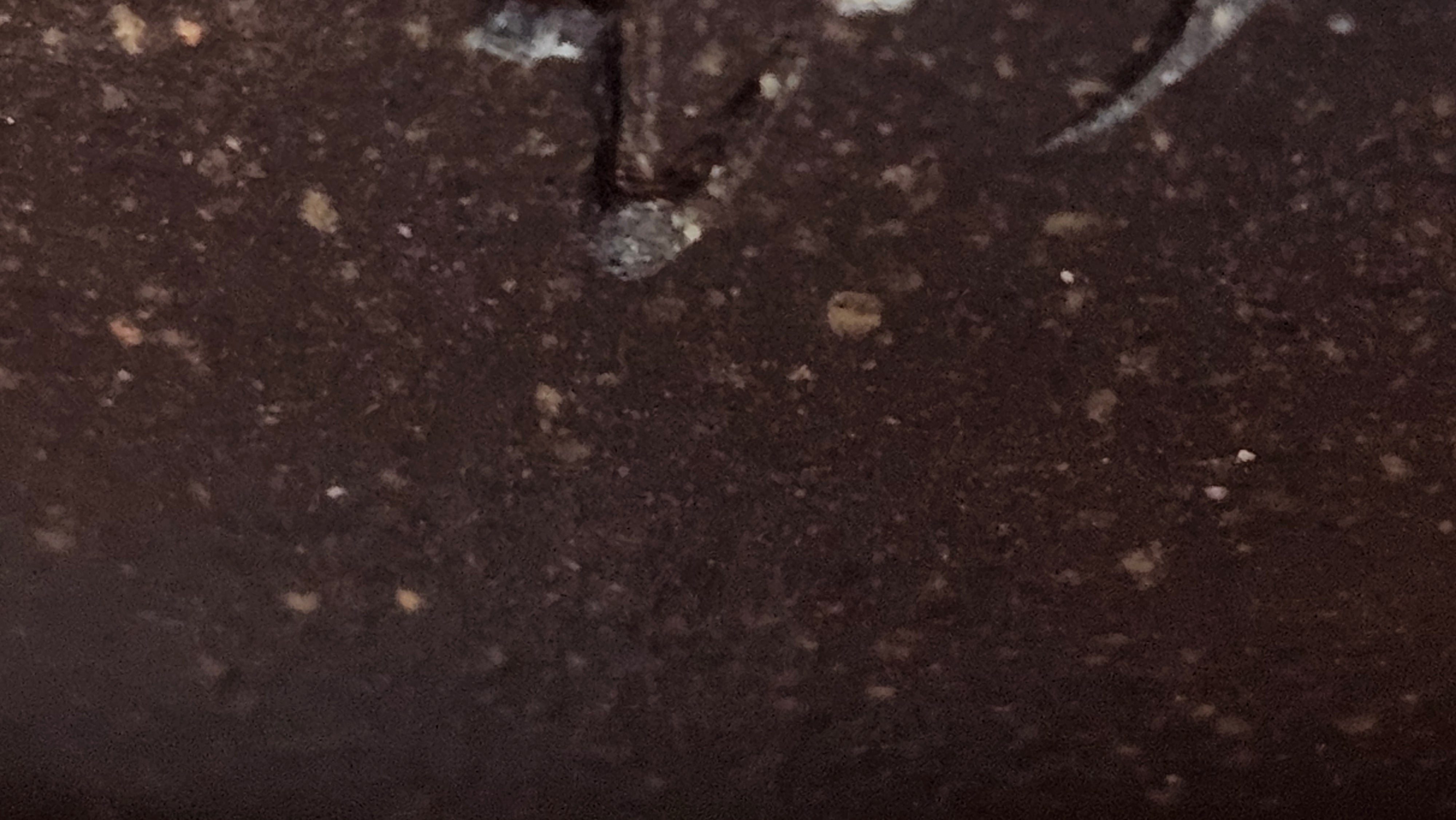 Du Zhi Hu《笃志壶》, 171.6ml, Hei Zi Ni 黑紫泥, by our Craftsman Zhang Huan 张欢, Calligraphy and Plum Blossoms Engraving by Craftsman Yi Cheng 逸成 ~ Congratulations!to Ms S.M.! 1722hrs 14th August 2025, Velden! The Netherlands🇳🇱!