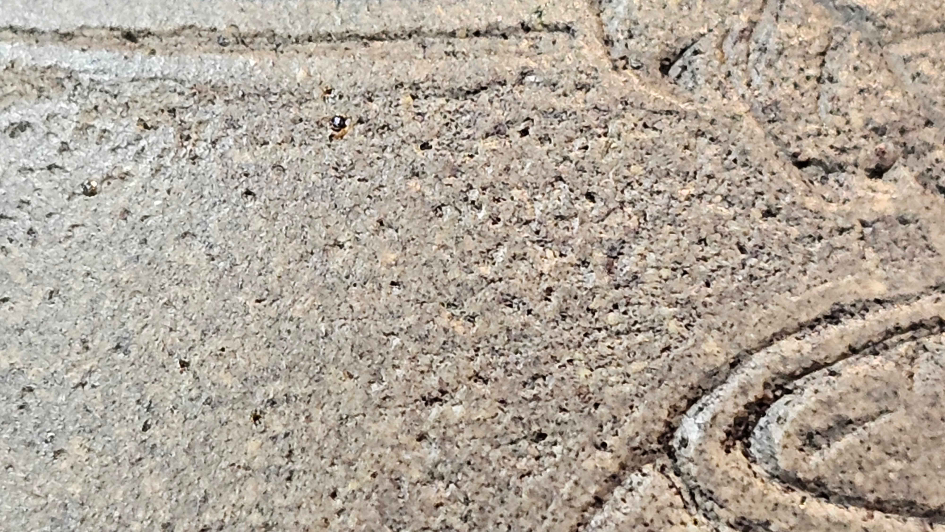 Ban Yue Hu《半月壶》~ "Half Moon Pot", 133.7ml, Qing Hui Duan 青灰段泥, by our Craftsman Zhang Huan 张欢, "Qing Gong Tu" 清供图 Engraving by Craftsman Nan Shan Lao Ren 南山老人 ~!Congratulations to Mr J.S.! 1114hrs 15th August 2025, Chicago, IL!