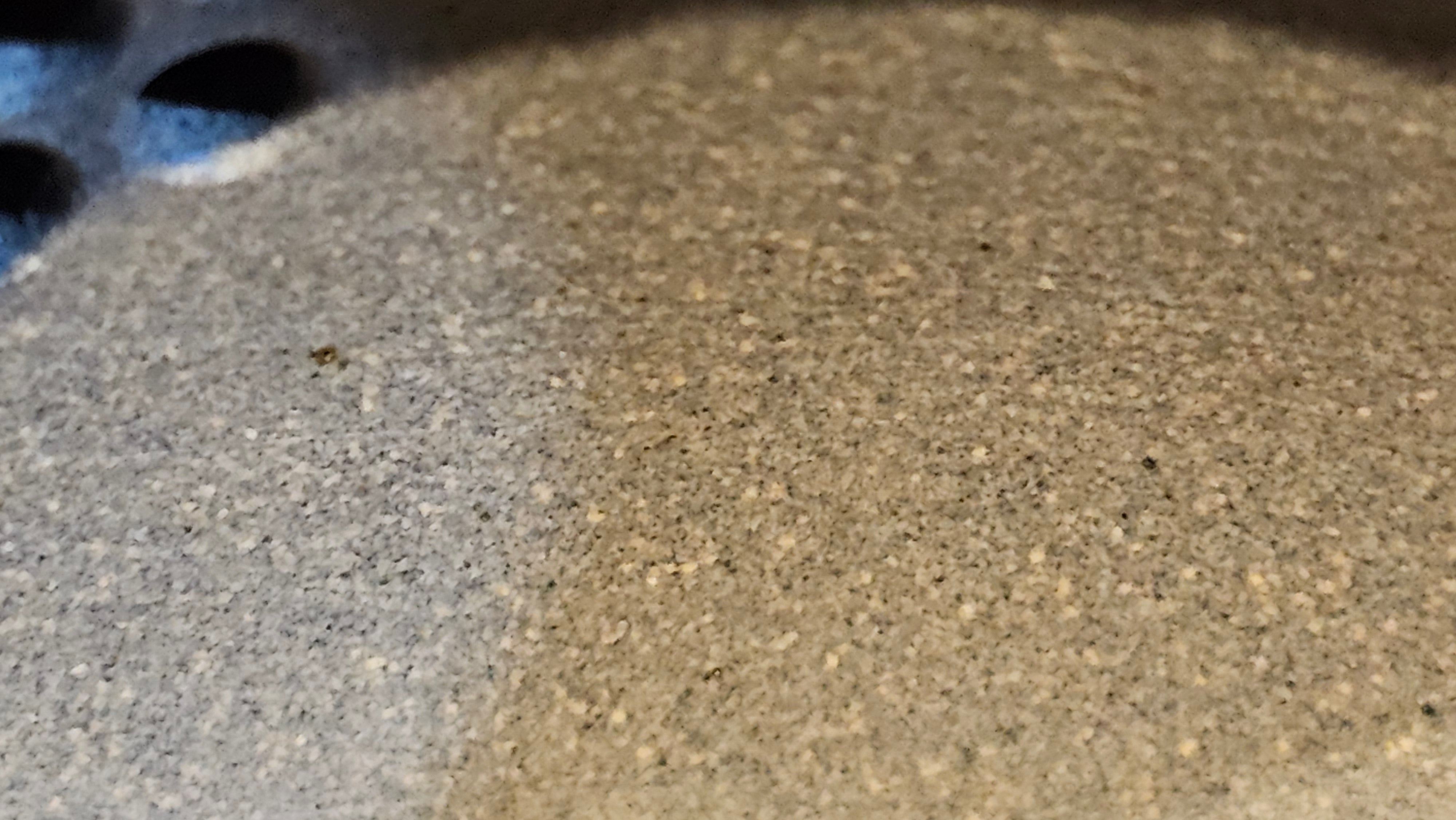 Ban Yue Hu《半月壶》~ "Half Moon Pot", 133.7ml, Qing Hui Duan 青灰段泥, by our Craftsman Zhang Huan 张欢, "Qing Gong Tu" 清供图 Engraving by Craftsman Nan Shan Lao Ren 南山老人 ~!Congratulations to Mr J.S.! 1114hrs 15th August 2025, Chicago, IL!