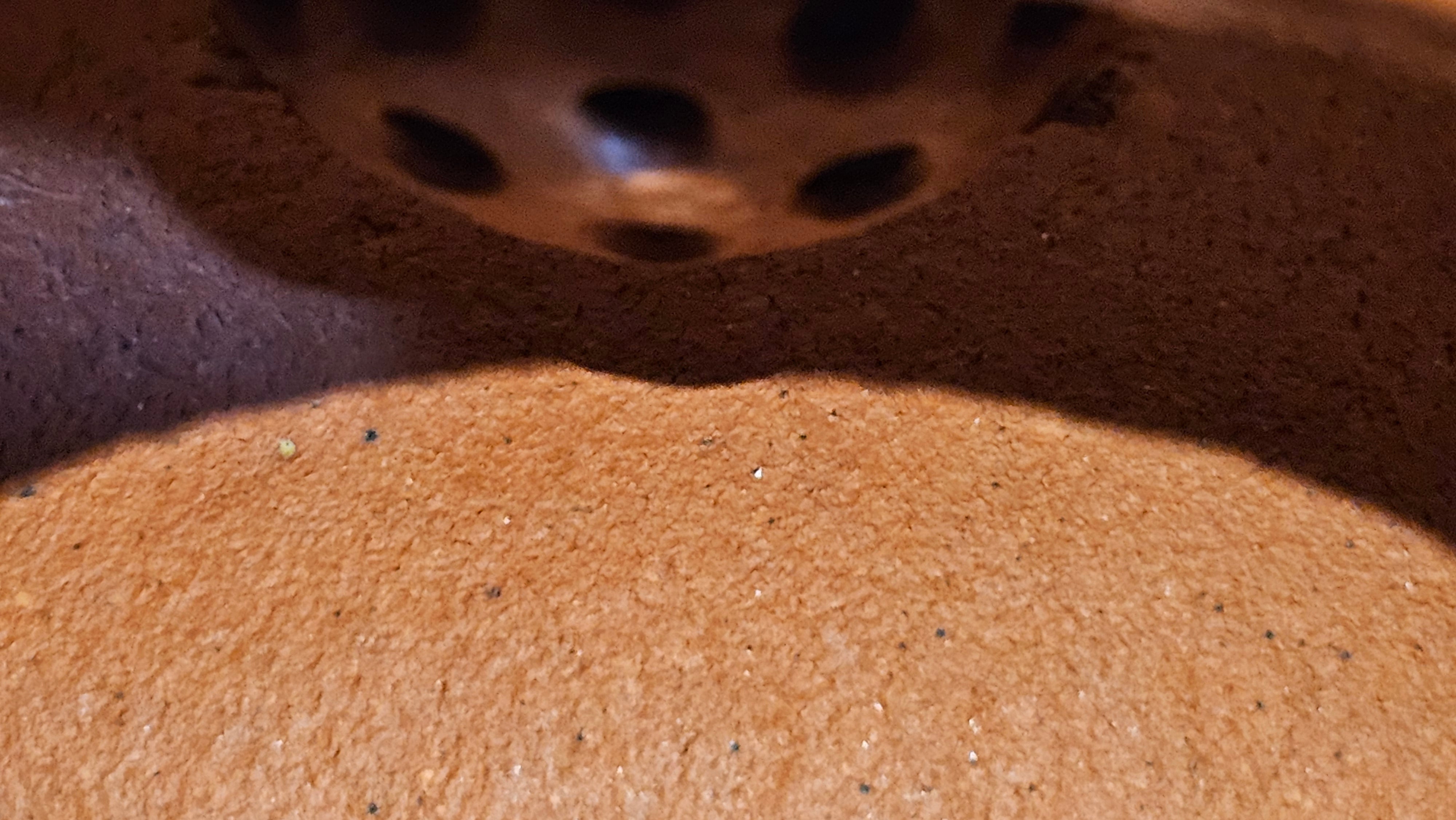 Han Jiang 寒江, 209.3ml, rare Zhu Sha 朱砂 (highest granularity form of ZhuNi), by Craftsman Gu Xiao Ming 顾小明 ~ Congratulations to Mr K.B.! 1555hrs 26th August 2025, Lake Oswego! OR!