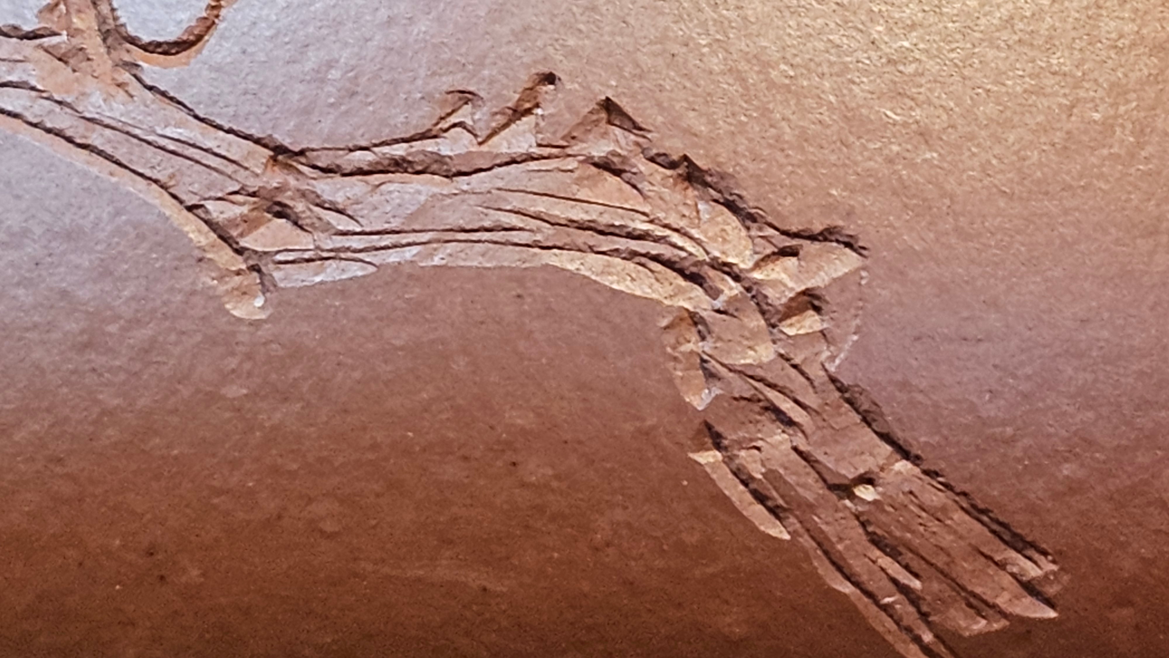 Jing Zhou Shi Piao 景舟石瓢, 257.3ml, Xiao Mei Yao Zhu Ni 小煤窑朱泥, by Craftsman Wang Xing 王兴; "暗香疏影" and Plum Blossoms Engraving by Craftsman Yi De Shu 一德书 ~ Congratulations to Mr K.F.! 1455hrs 17th August 2025, Chamblee, GA!