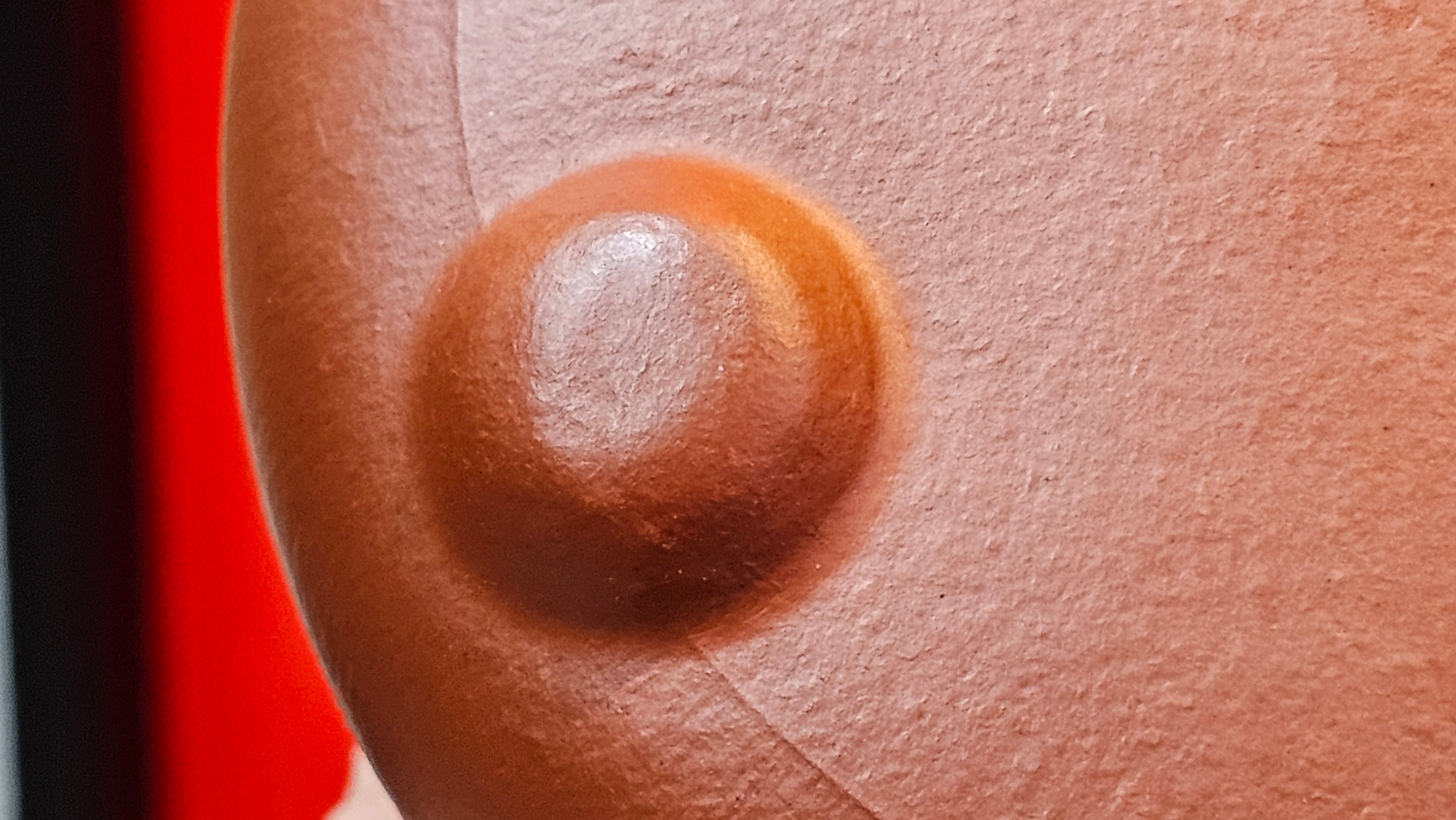 Jing Zhou Shi Piao 景舟石瓢, 257.3ml, Xiao Mei Yao Zhu Ni 小煤窑朱泥, by Craftsman Wang Xing 王兴; "暗香疏影" and Plum Blossoms Engraving by Craftsman Yi De Shu 一德书 ~ Congratulations to Mr K.F.! 1455hrs 17th August 2025, Chamblee, GA!