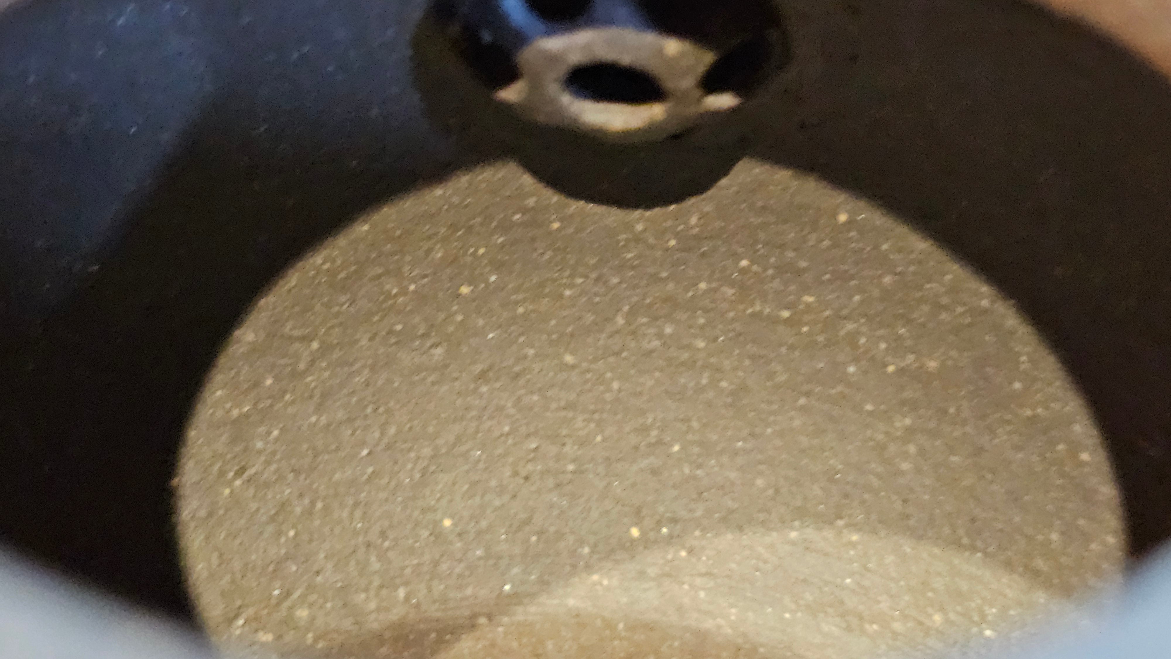 Du Zhi Hu《笃志壶》, 175.1ml, Hei Zi Ni 黑紫泥, by our Craftsman Zhang Huan 张欢, Calligraphy and Plum Blossoms Engraving by Craftsman Yi Cheng 逸成 ~ Congratulations!to Mr T.J.! 0909hrs 17th August 2025, Oulu! Finland 🇫🇮.