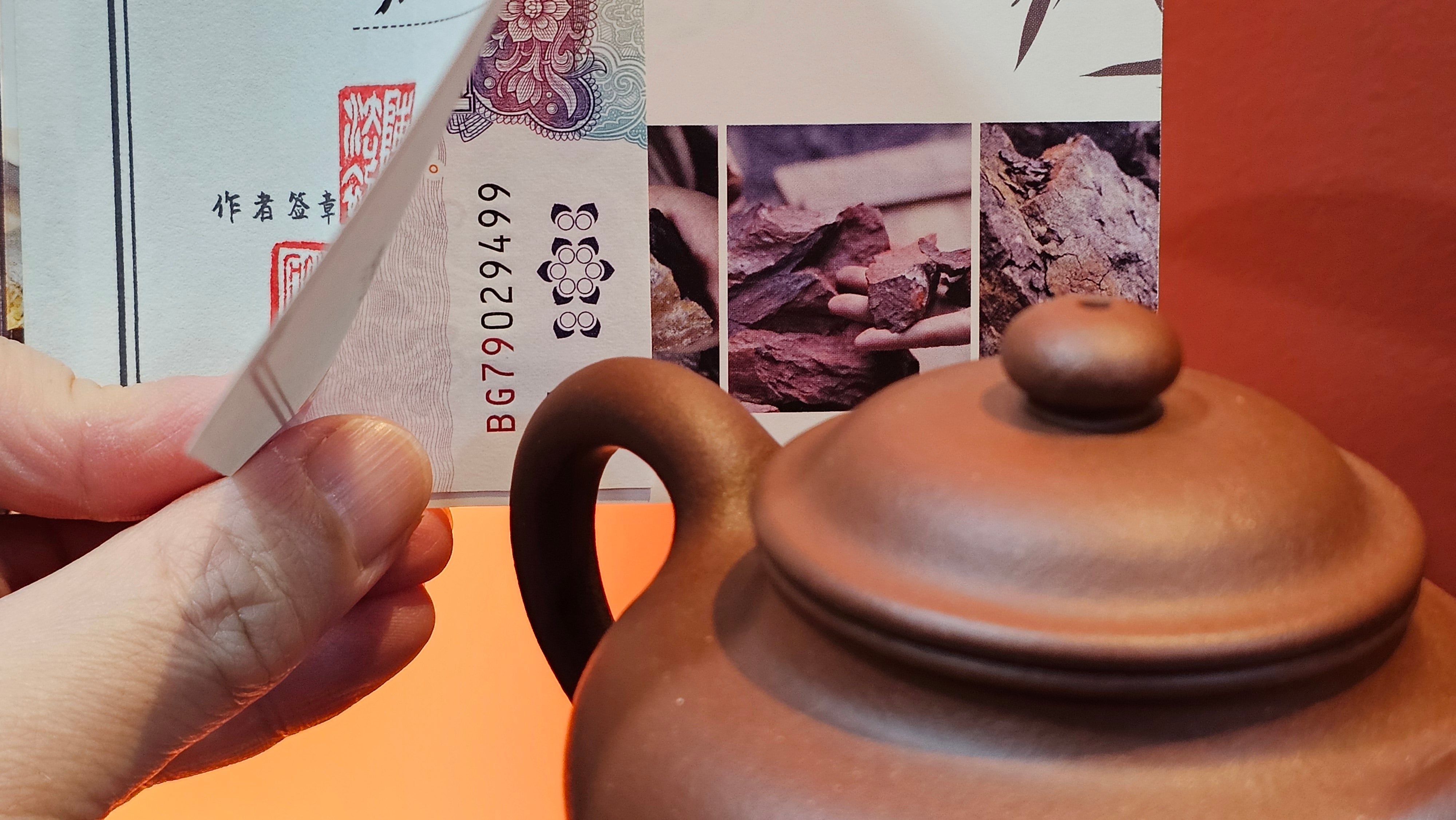 Duo Zhi 掇只, 208.2ml, Di Cao Qing Zi Ni 底槽青紫泥, by our Collaborative Craftsman Chen Fa Chu 陈法初 ~ Congratulations to Mr B.! 1104hrs 7th Sept 2025! New Brunswick, Canada🇨🇦.