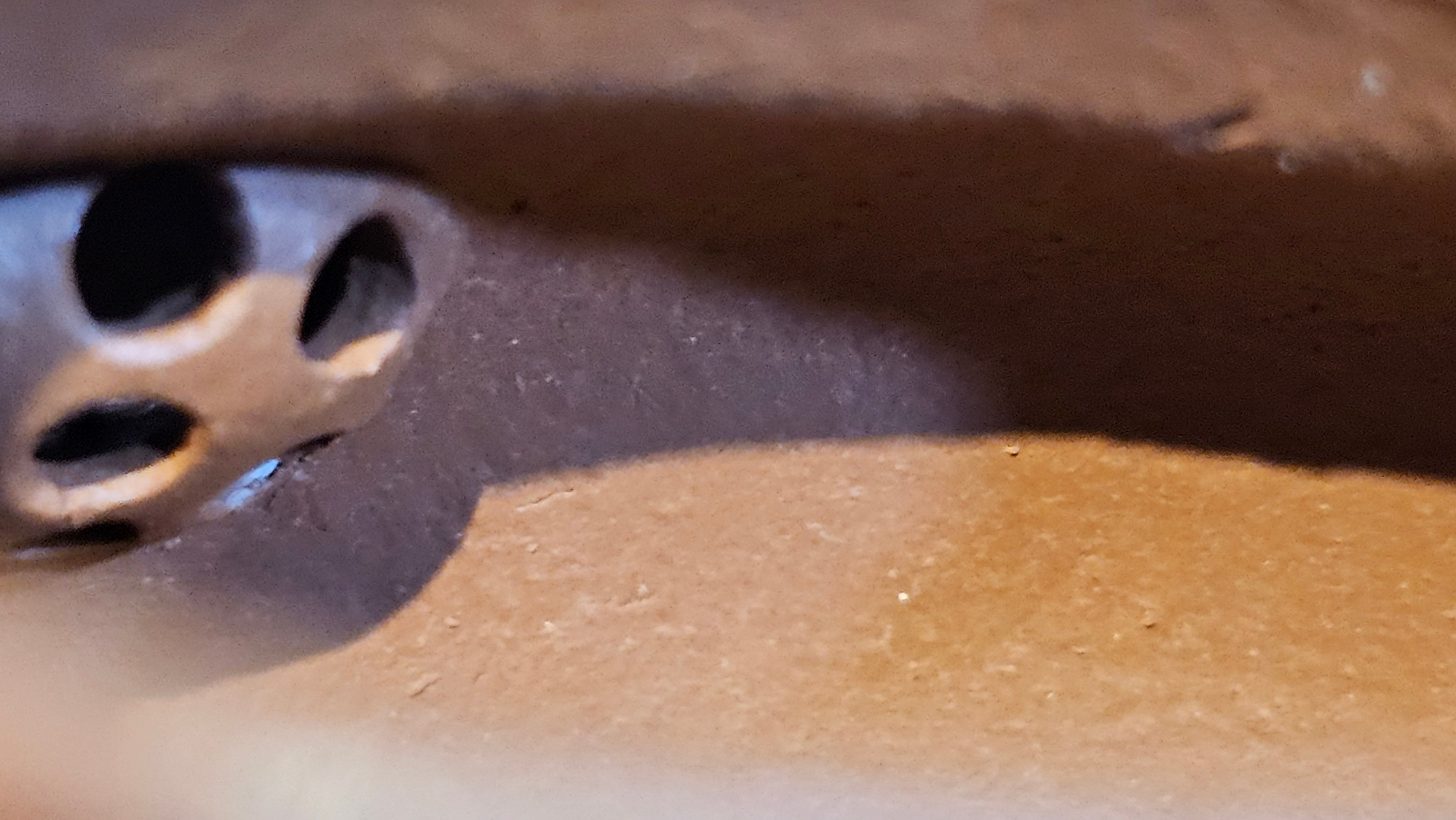 Duo Zhi 掇只, 120.7ml, Xiao Mei Yao Zhu Ni 小煤窑朱泥, by our Collaborative Craftsman Wang Xing 王兴 ~ Congratulations!to Prof Q.H., 0053hrs 19th August 2025, Hanoi! Vietnam🇻🇳.