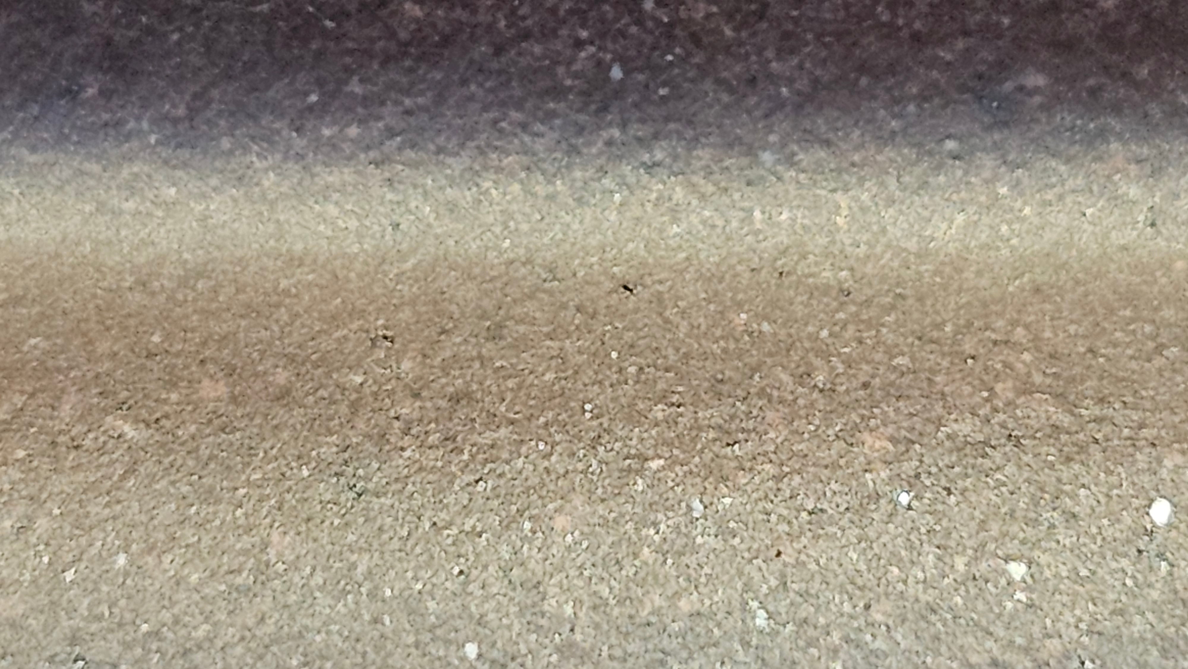 《鸣远四方》"Ming Yuan Si Fang", 348.9ml, Di Cao Qing Zi Ni 底槽青紫泥, by L2A Senior Consummate Artist Yuan Hui 袁辉 ~ Congratulations!to Dr L.L., 0858hrs 24th August 2025, Ventura, CA!