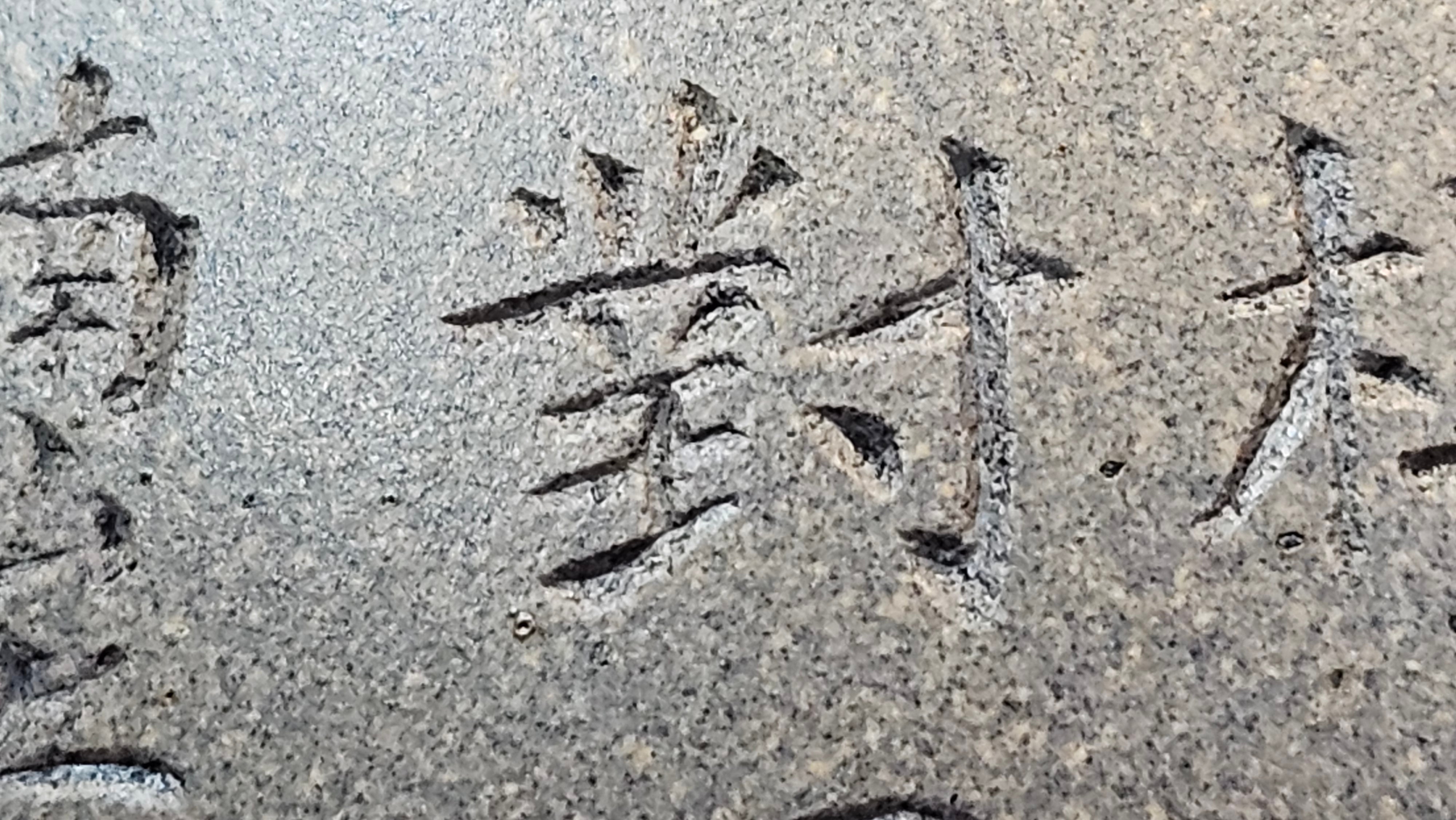 Ban Yue Hu《半月壶》~ "Half Moon Pot", 138.3ml, Qing Hui Duan 青灰段泥, by our Craftsman Zhang Huan 张欢, "Qing Gong Tu" Engraving by Craftsman Nan Shan Lao Ren 南山老人 ~ Congrats to!Tea Sommr A.M., 2054hrs 22nd August 2025, Padua! Italy🇮🇹.