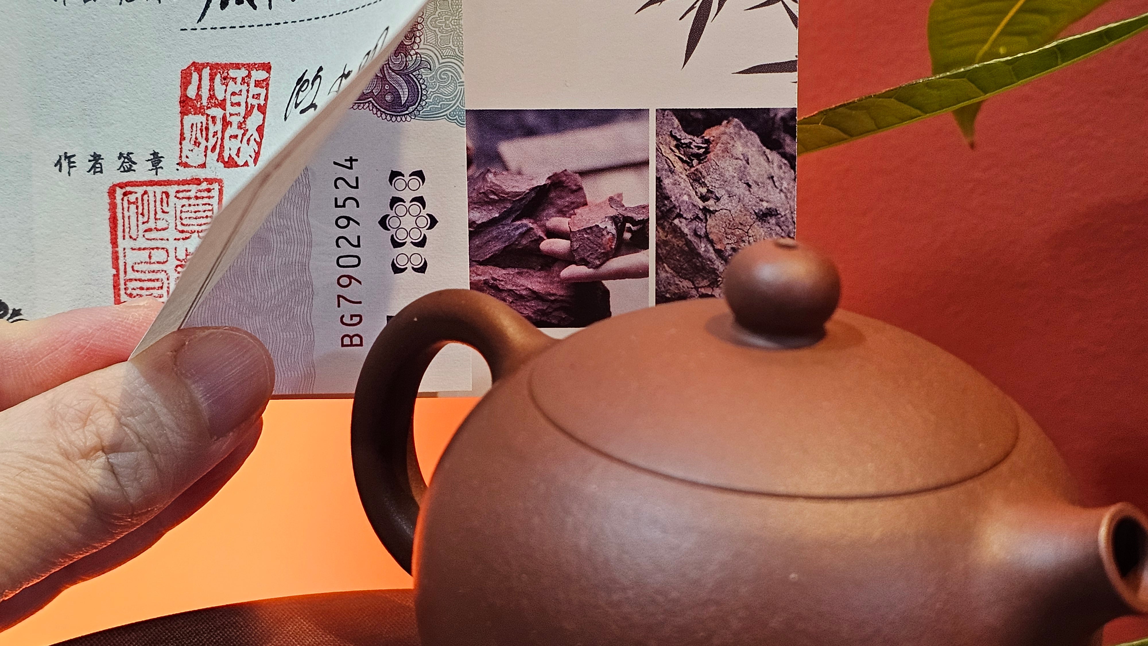 Xi Shi 西施, 145.9ml, Di Cao Qing Zi Ni 底槽青紫泥, by Craftsman Gu Xiao Ming 顾小明 ~ Congratulations to!Mr R.P.! 1422hrs 4th Sept 2025! Lawndale, CA!