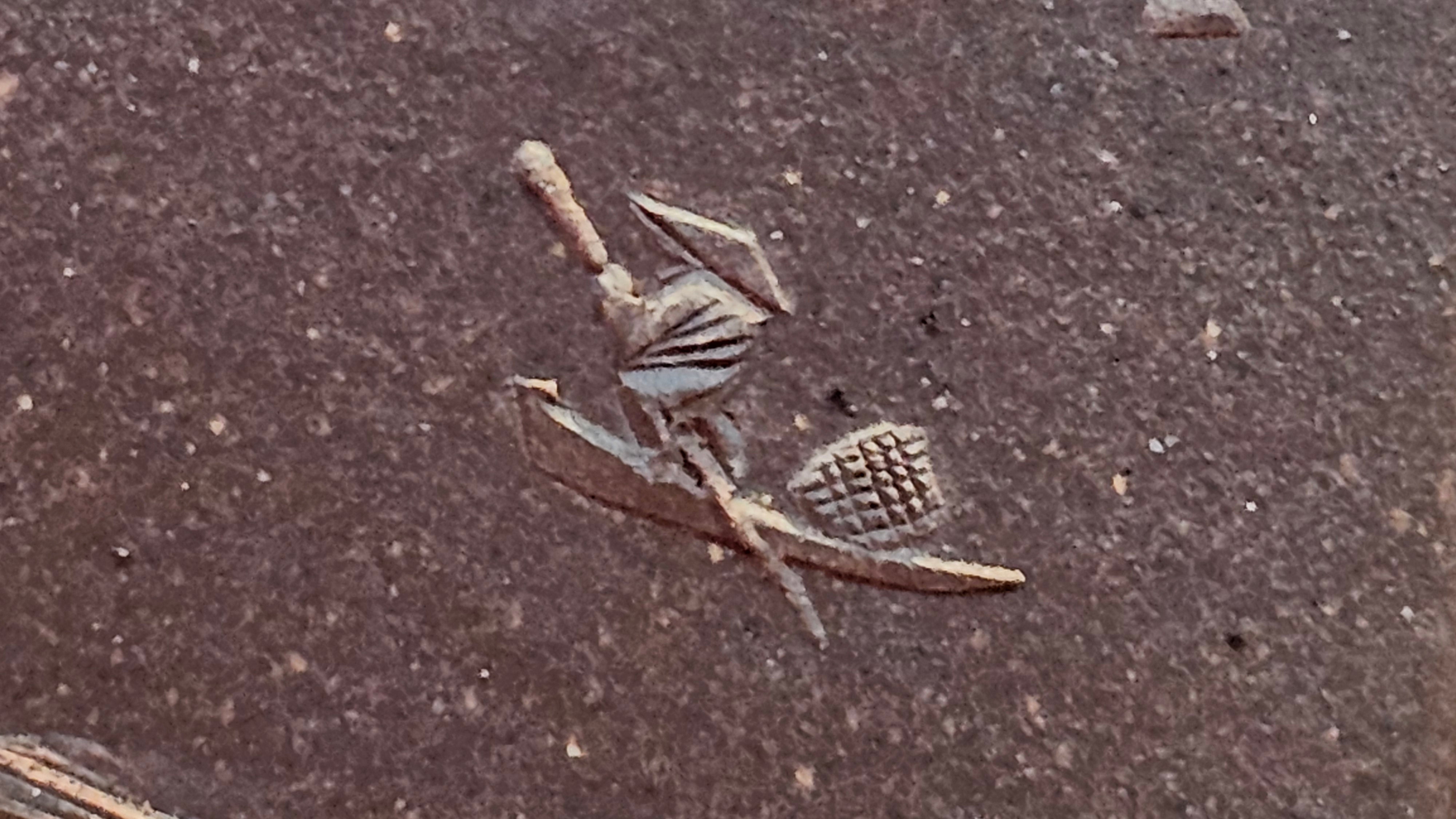 《若思四方》"Ruo Si Si Fang", 249.8ml, with Engraving, Di Cao Qing Zi Ni 底槽青紫泥, by L2A Senior Consummate Artist Yuan Hui 袁辉 ~!Congratulations!to Ms M.L., 0635hrs 30th August 2025, Phoenix, AZ!