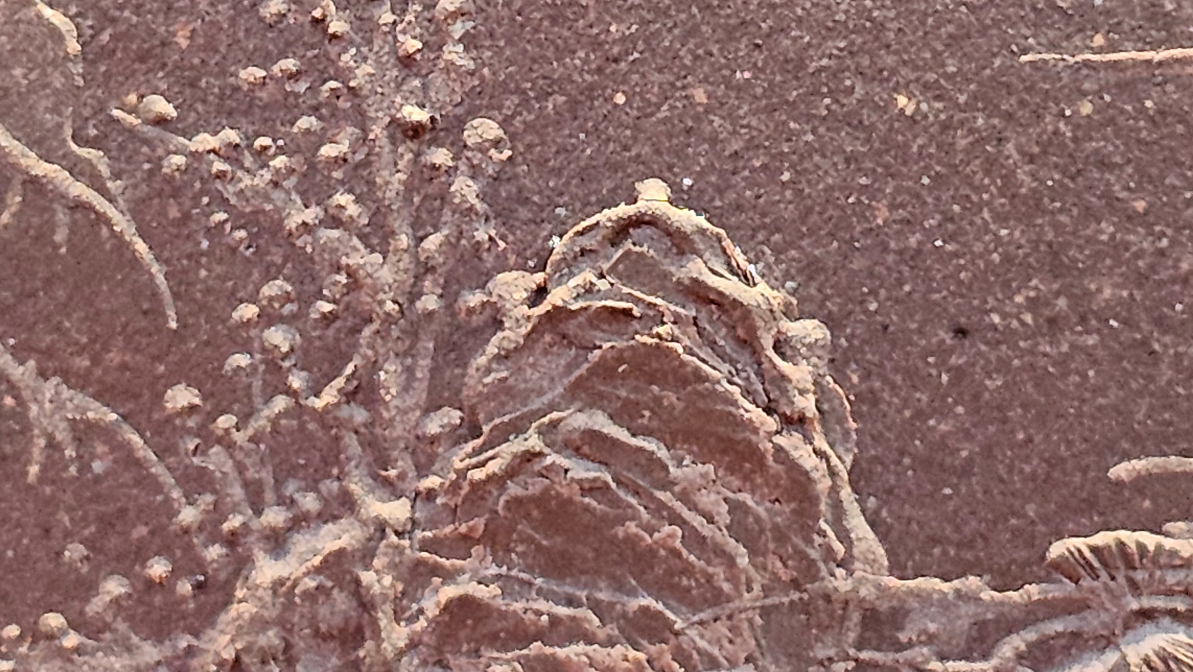 《若思四方》"Ruo Si Si Fang", 249.8ml, with Engraving, Di Cao Qing Zi Ni 底槽青紫泥, by L2A Senior Consummate Artist Yuan Hui 袁辉 ~!Congratulations!to Ms M.L., 0635hrs 30th August 2025, Phoenix, AZ!