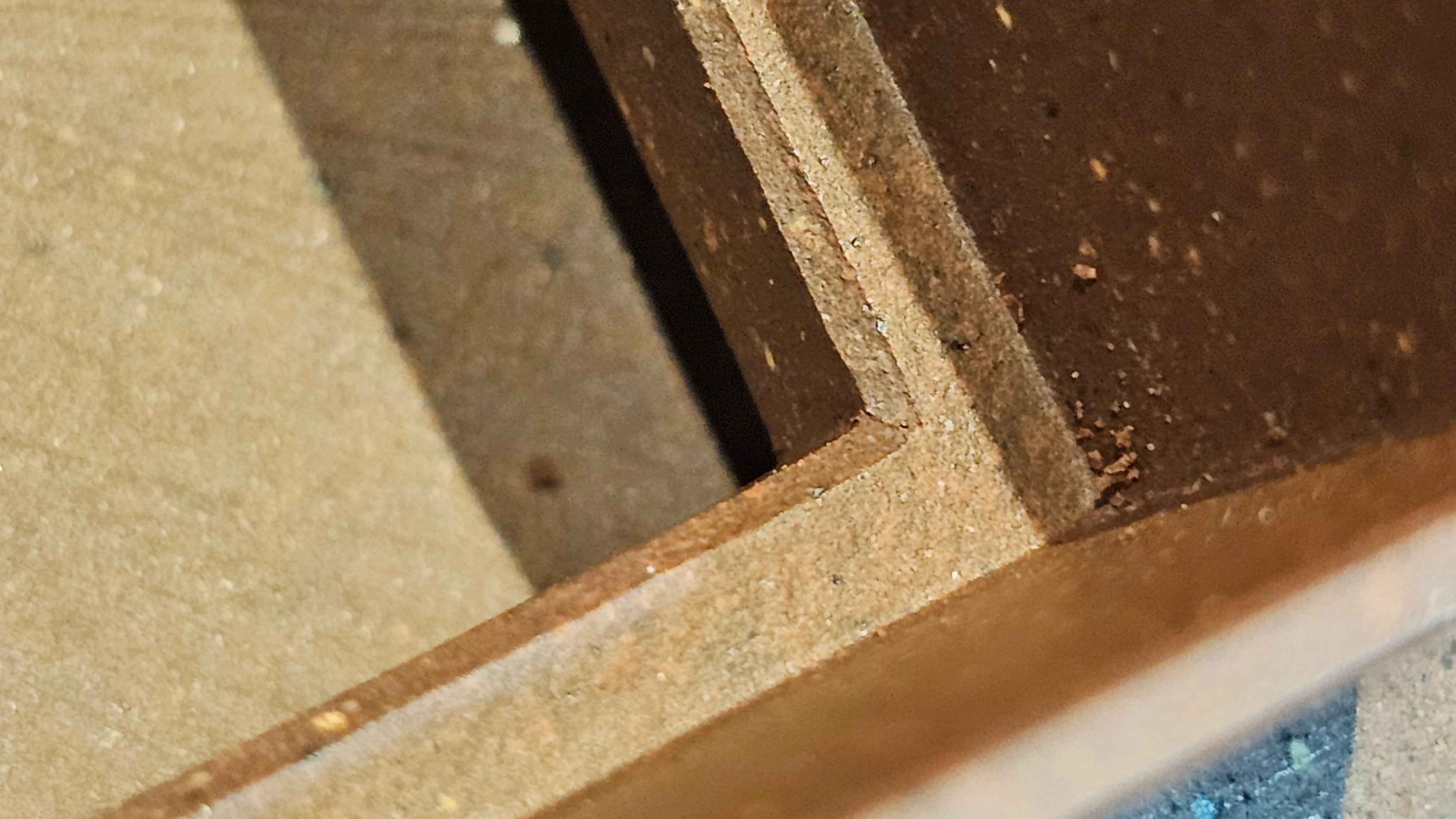 《若思四方》"Ruo Si Si Fang", 249.8ml, with Engraving, Di Cao Qing Zi Ni 底槽青紫泥, by L2A Senior Consummate Artist Yuan Hui 袁辉 ~!Congratulations!to Ms M.L., 0635hrs 30th August 2025, Phoenix, AZ!