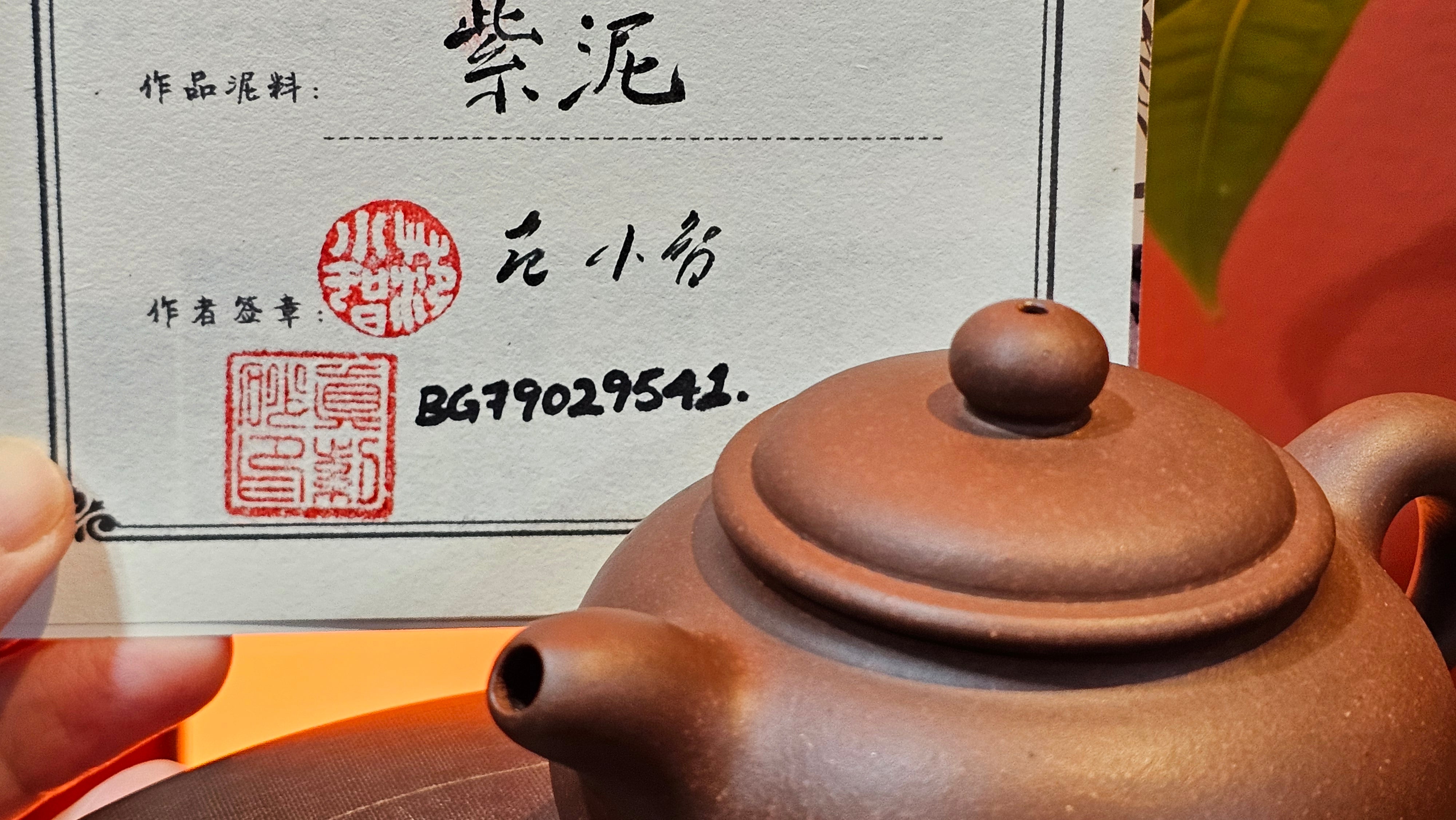 Xuan Zhu Hu 玄珠壶, 146.9ml, Zi Ni 紫泥, by our Craftsman Fan Xiao Zhi 范小智 ~ Congratulations to Mr J.T.! 1502hrs 29th August 2025, Fargo! ND.