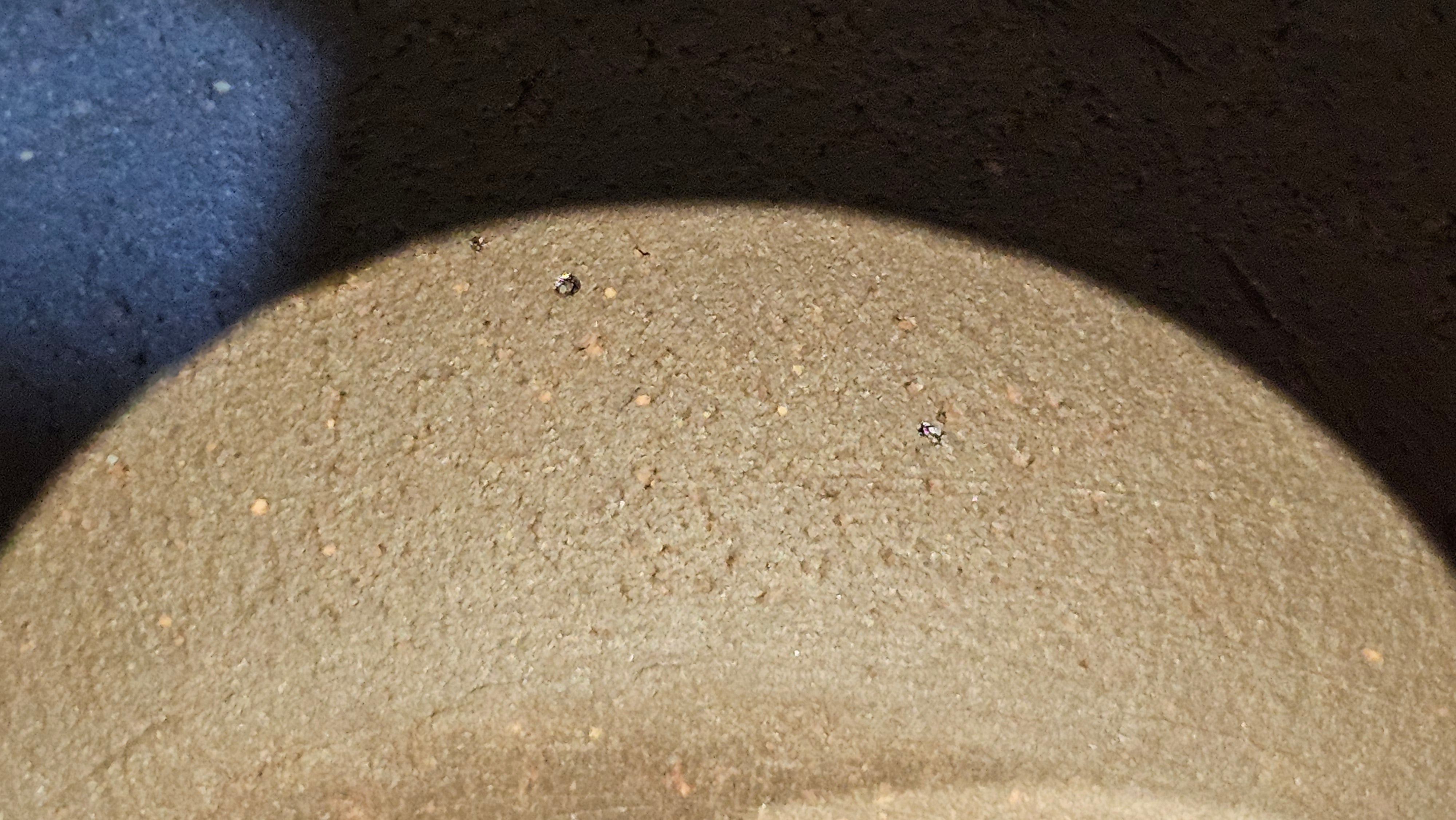 Gao Pan 高番, 138.0ml, Tai Xi Zi Ni (Gao Wen) 台西紫泥(高温), by our Craftsman Fan Xiao Zhi 范小智 ~ Congratulations!to Mr.S.W.! 2040hrs 29th August 2025, Avezzano! Italy🇮🇹.