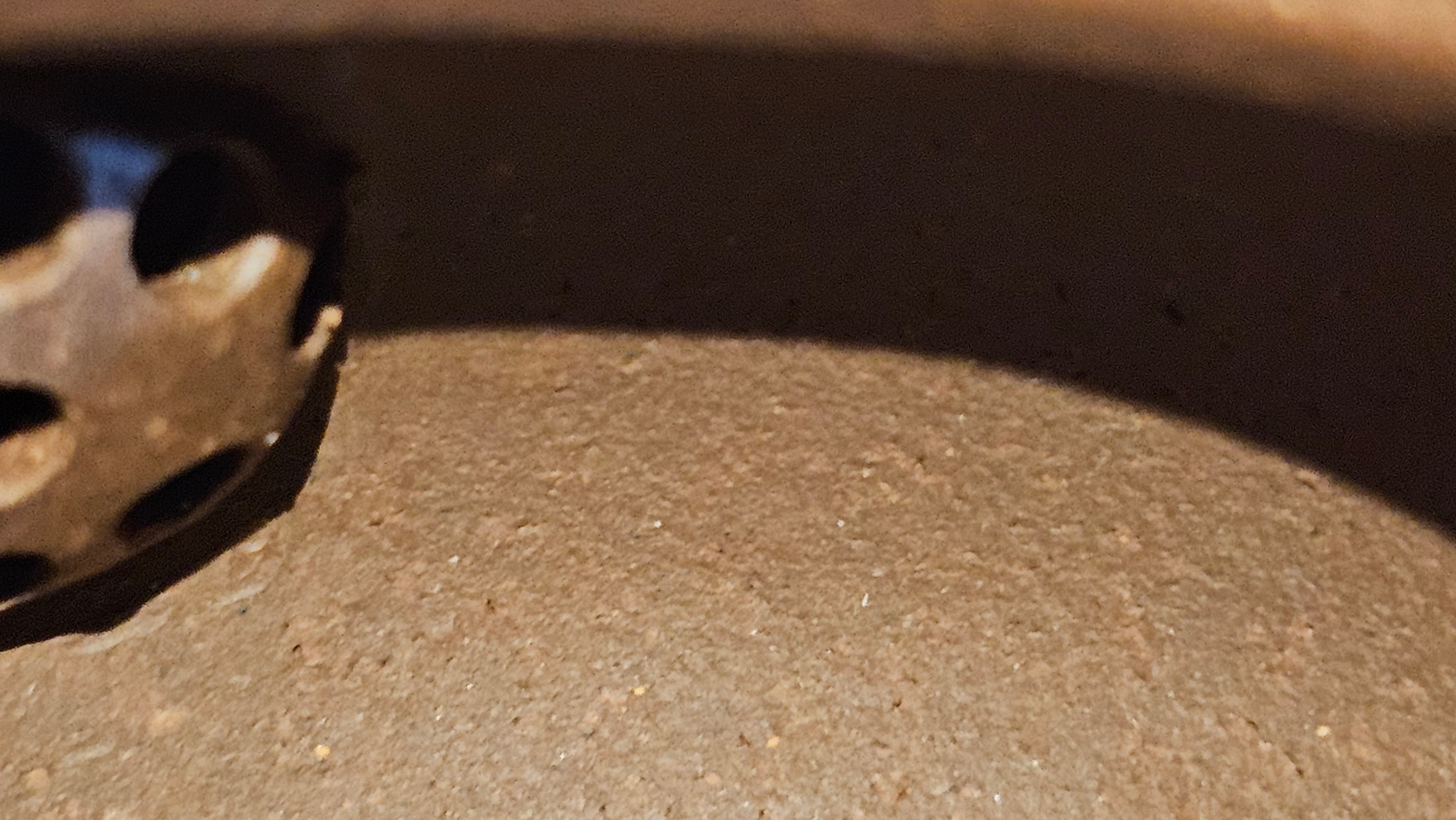 Xuan Zhu Hu 玄珠壶, 142.3ml, Zi Ni 紫泥, by our Craftsman Fan Xiao Zhi 范小智 ~ Congratulations to Ms K.Y.! 2256hrs 3rd Sept 2025! Tamuning, Guam!