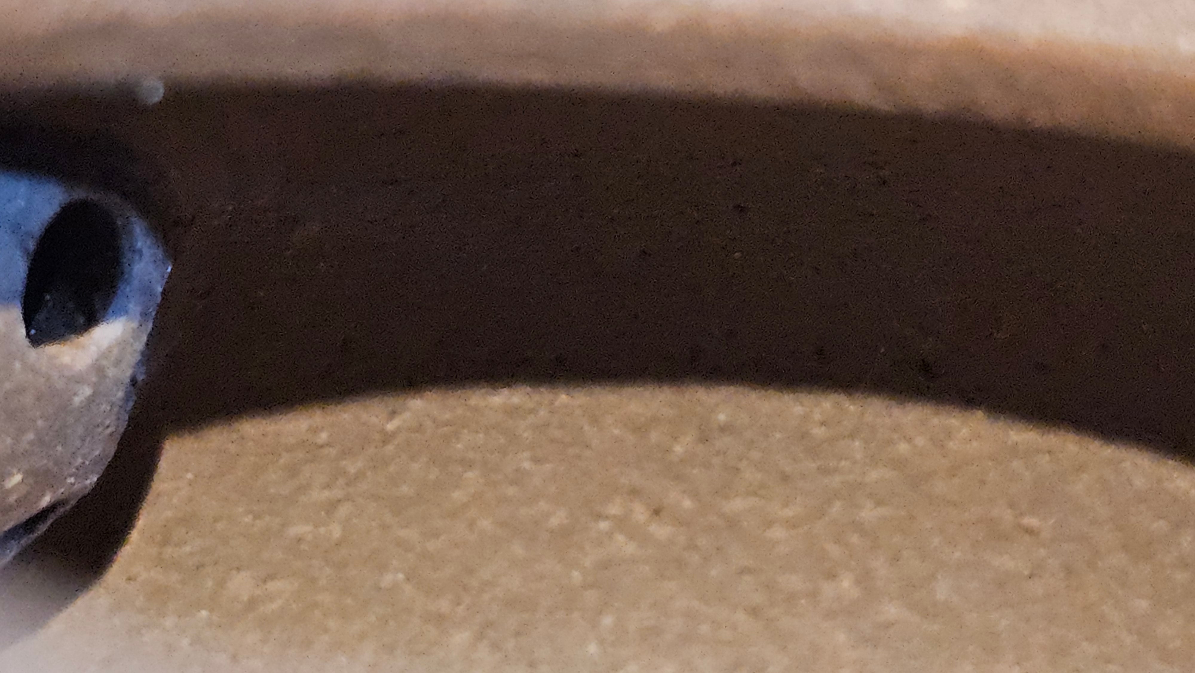 Xuan Zhu Hu 玄珠壶, 142.3ml, Zi Ni 紫泥, by our Craftsman Fan Xiao Zhi 范小智 ~ Congratulations to Ms K.Y.! 2256hrs 3rd Sept 2025! Tamuning, Guam!