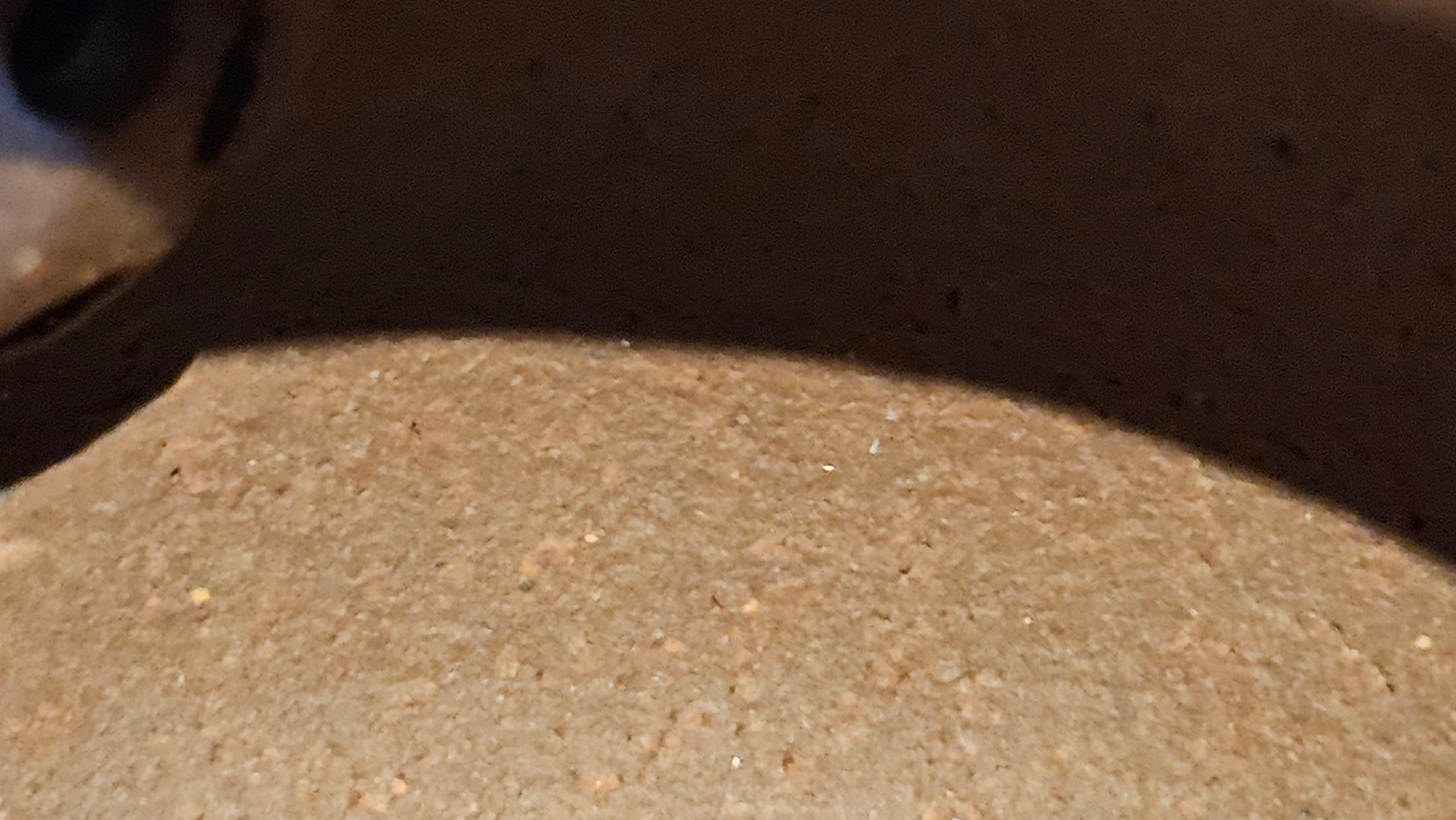 Xuan Zhu Hu 玄珠壶, 142.3ml, Zi Ni 紫泥, by our Craftsman Fan Xiao Zhi 范小智 ~ Congratulations to Ms K.Y.! 2256hrs 3rd Sept 2025! Tamuning, Guam!