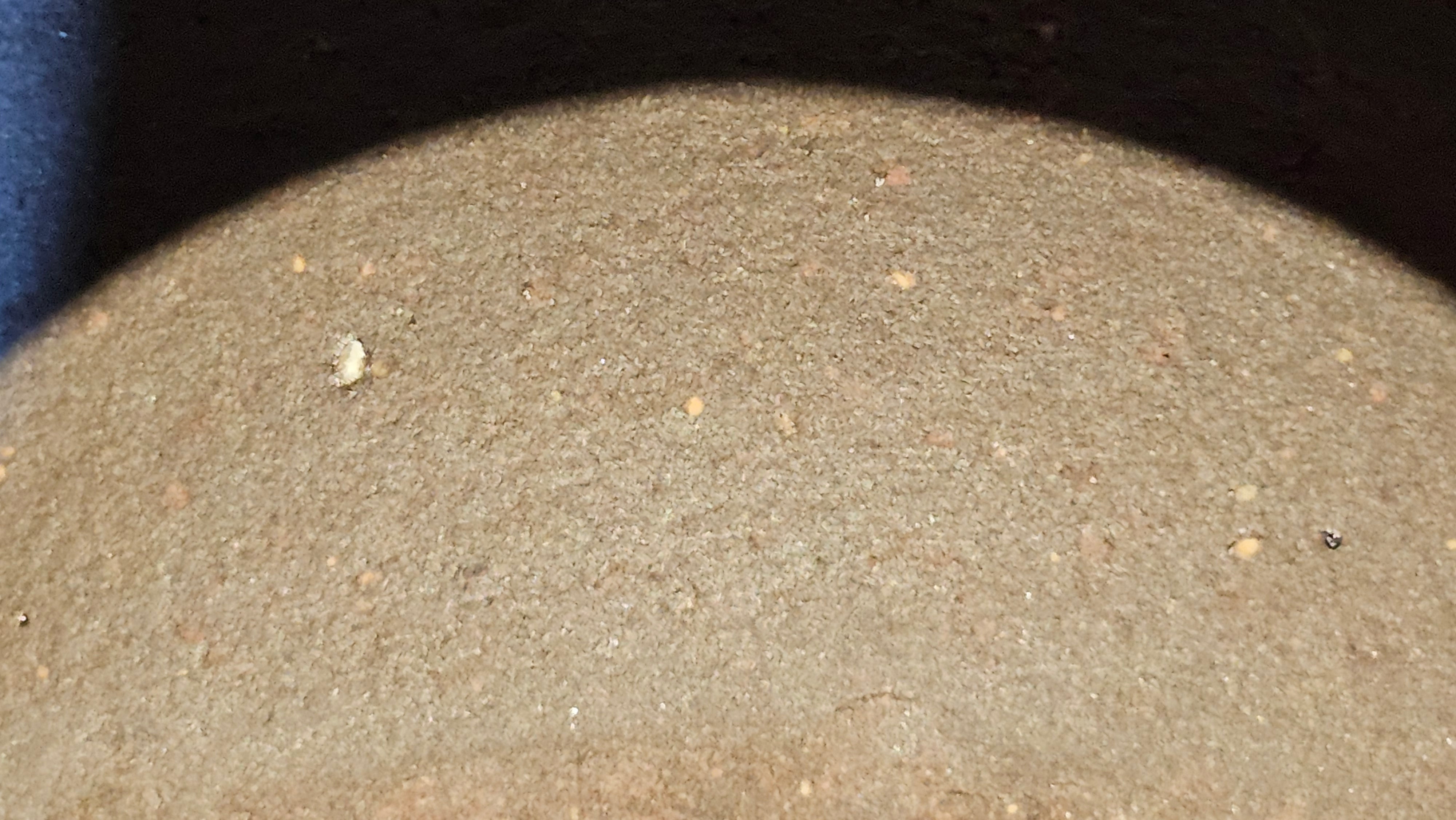 Gao Pan 高番, 143.9ml (very well-weighted bottom, stable!), Tai Xi Zi Ni (Gao Wen) 台西紫泥(高温), by our Craftsman Fan Xiao Zhi 范小智 ~ Congratulations!to Mr Y.L.! 2309hrs 31st August 2025, Cranbourne North!ViC, Australia🇦🇺!