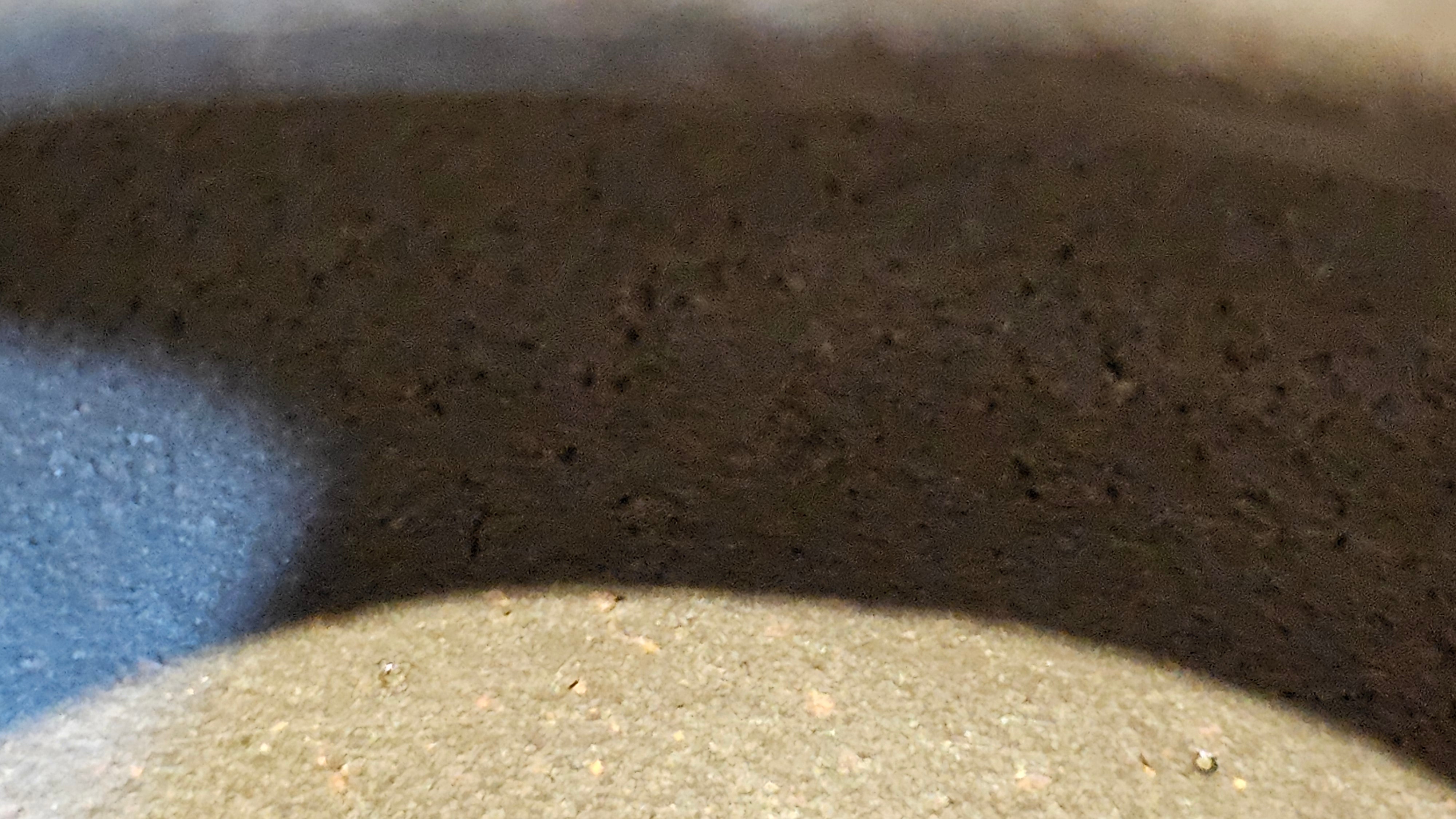 Gao Pan 高番, 140.6ml (very well-weighted bottom, stable!), Tai Xi Zi Ni (Gao Wen) 台西紫泥(高温), by our Craftsman Fan Xiao Zhi 范小智 ~ Congratulations!to Mr J.S.! 1105hrs 2nd September 2025, Chicago! IL.