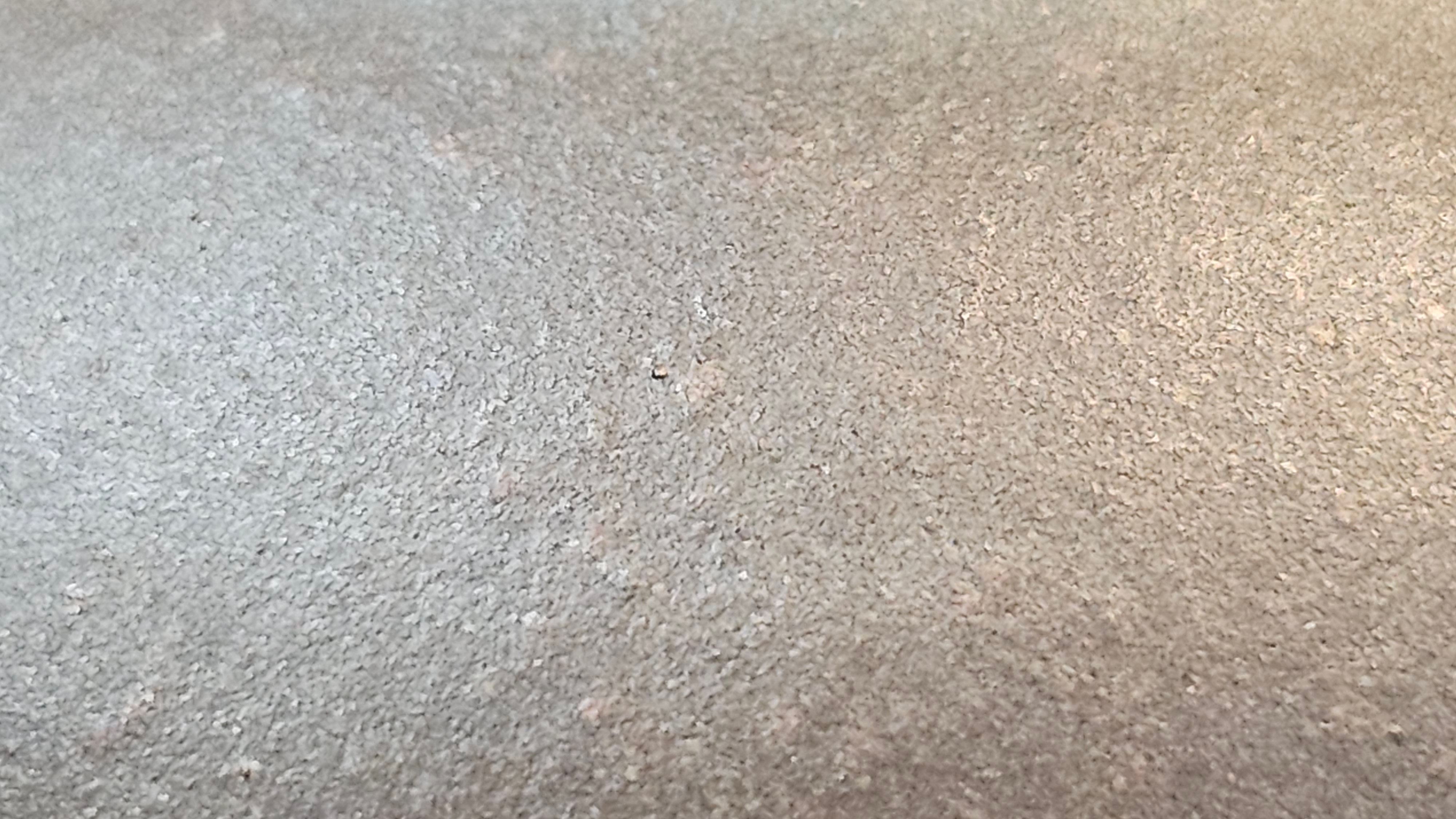 Gao Pan 高番, 134.3ml (very well-weighted bottom, stable!), Tai Xi Zi Ni (Gao Wen) 台西紫泥(高温), by our Craftsman Fan Xiao Zhi 范小智 ~!Congratulations to Mr H.H.! 1738hrs 3rd Sept 2025, Amsterdam, The Netherlands🇳🇱!