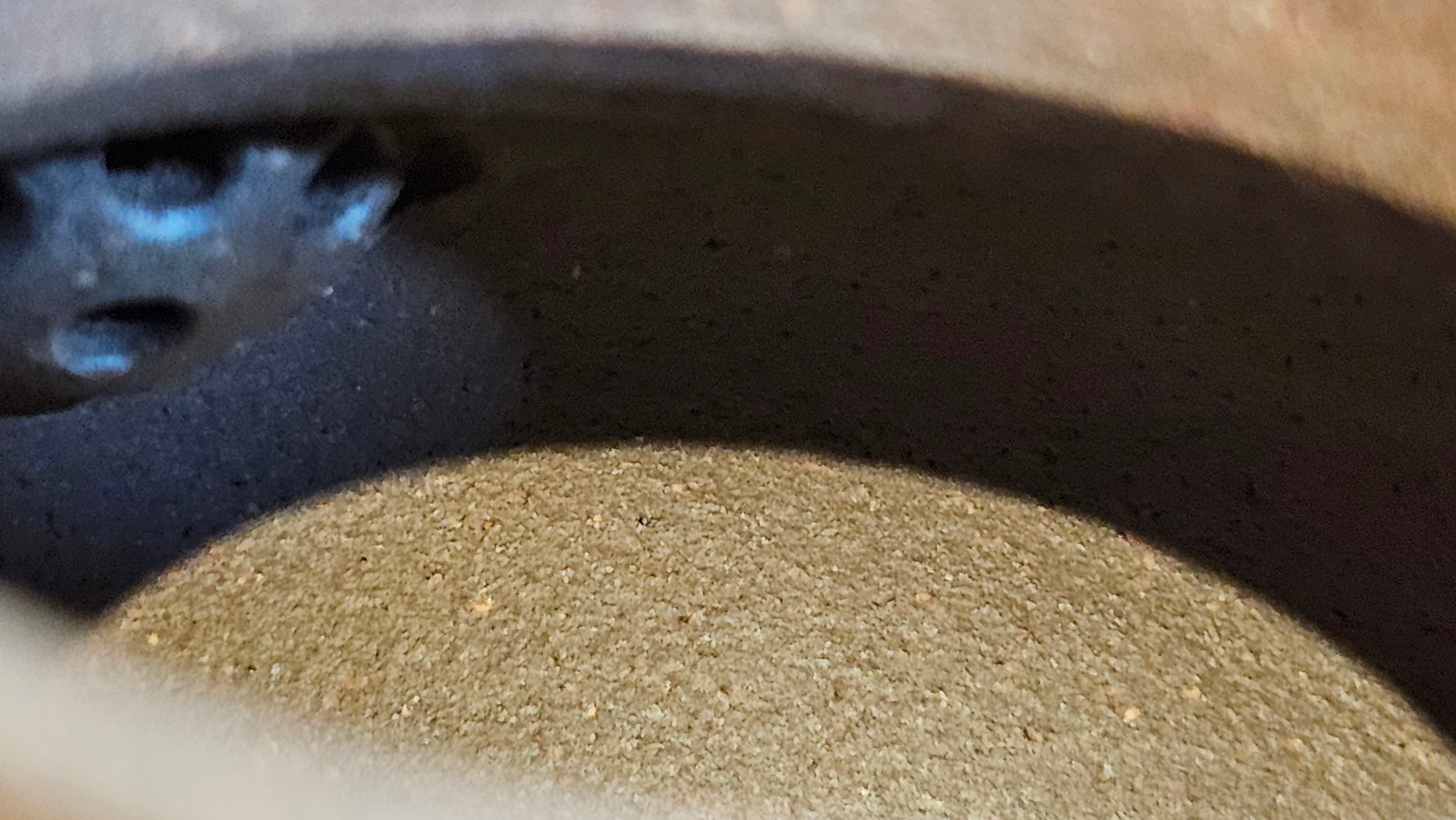 Gao Pan 高番, 134.3ml (very well-weighted bottom, stable!), Tai Xi Zi Ni (Gao Wen) 台西紫泥(高温), by our Craftsman Fan Xiao Zhi 范小智 ~!Congratulations to Mr H.H.! 1738hrs 3rd Sept 2025, Amsterdam, The Netherlands🇳🇱!