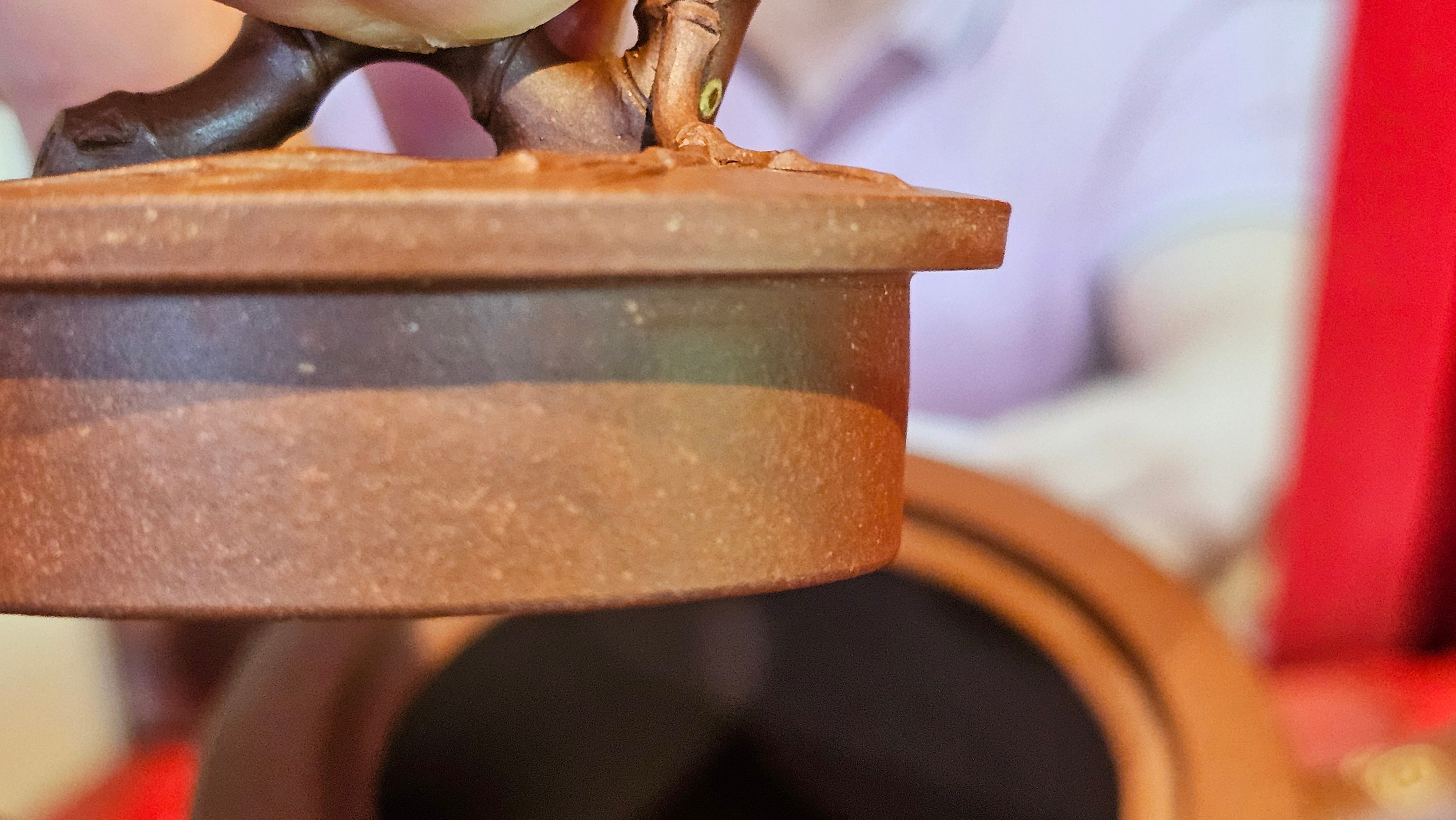 《湘妃竹段》"Xiang Fei Zhu Duan", 238.3ml, Di Cao Qing Zi Ni with Duan Ni Clay embellishments for the characteristic "Xiang Fei Bamboo" Patterns, by L4 Assoc Master Yu Chun Lei 俞春雷 ~!Congratulations to Ms S.M.! 1558hrs 4th Sept 2025, Velden! The Netherlands🇳🇱.