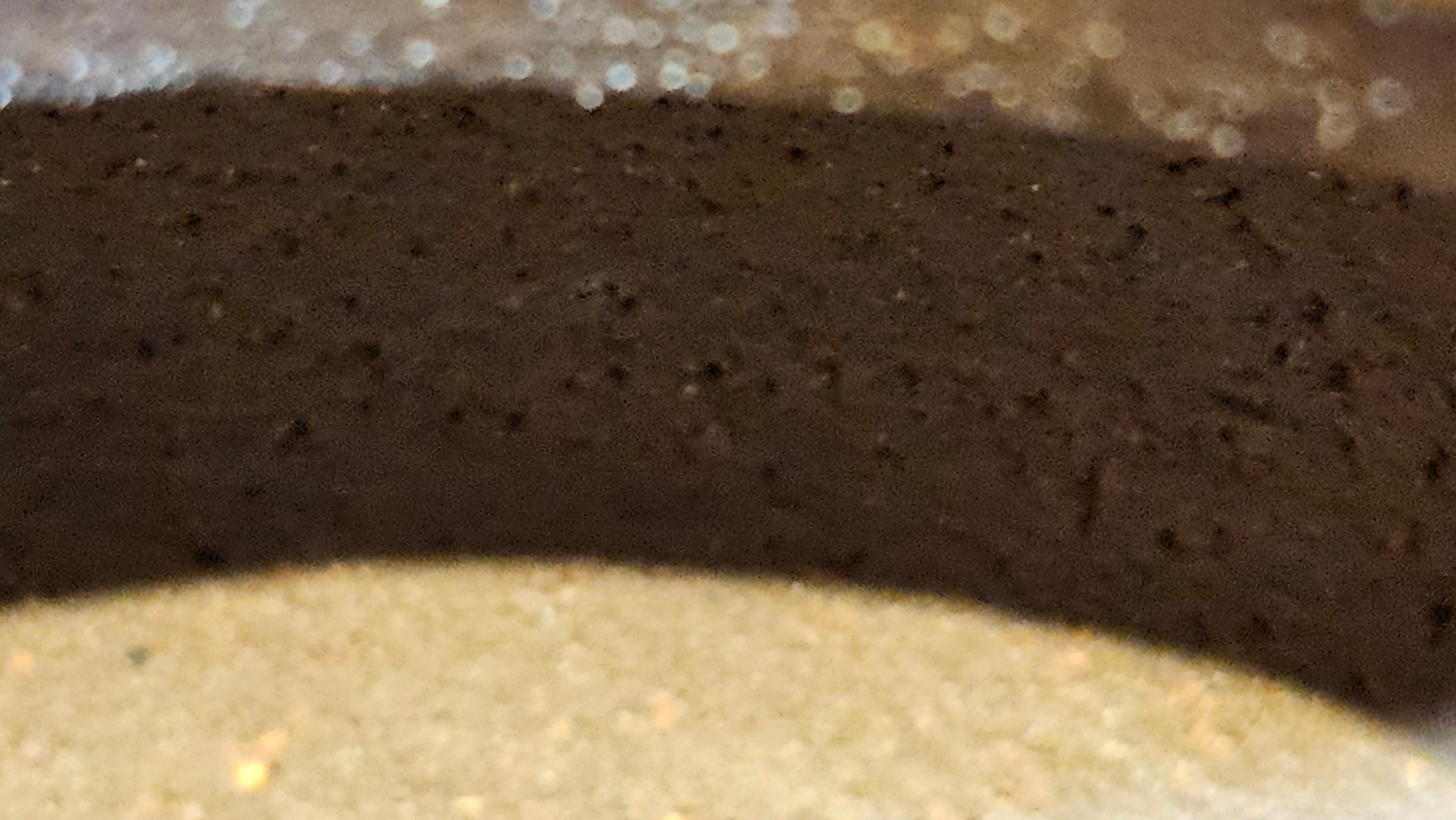 Gao Pan 高番, 136.3ml (very well-weighted bottom, stable!), Zi Ni (Low Sieve Count) 紫泥(低目数), by our Craftsman Fan Xiao Zhi 范小智 ~ Congratulations to Mr M.S.! 1805hrs 5th Sept 2025, Southbury! CT!