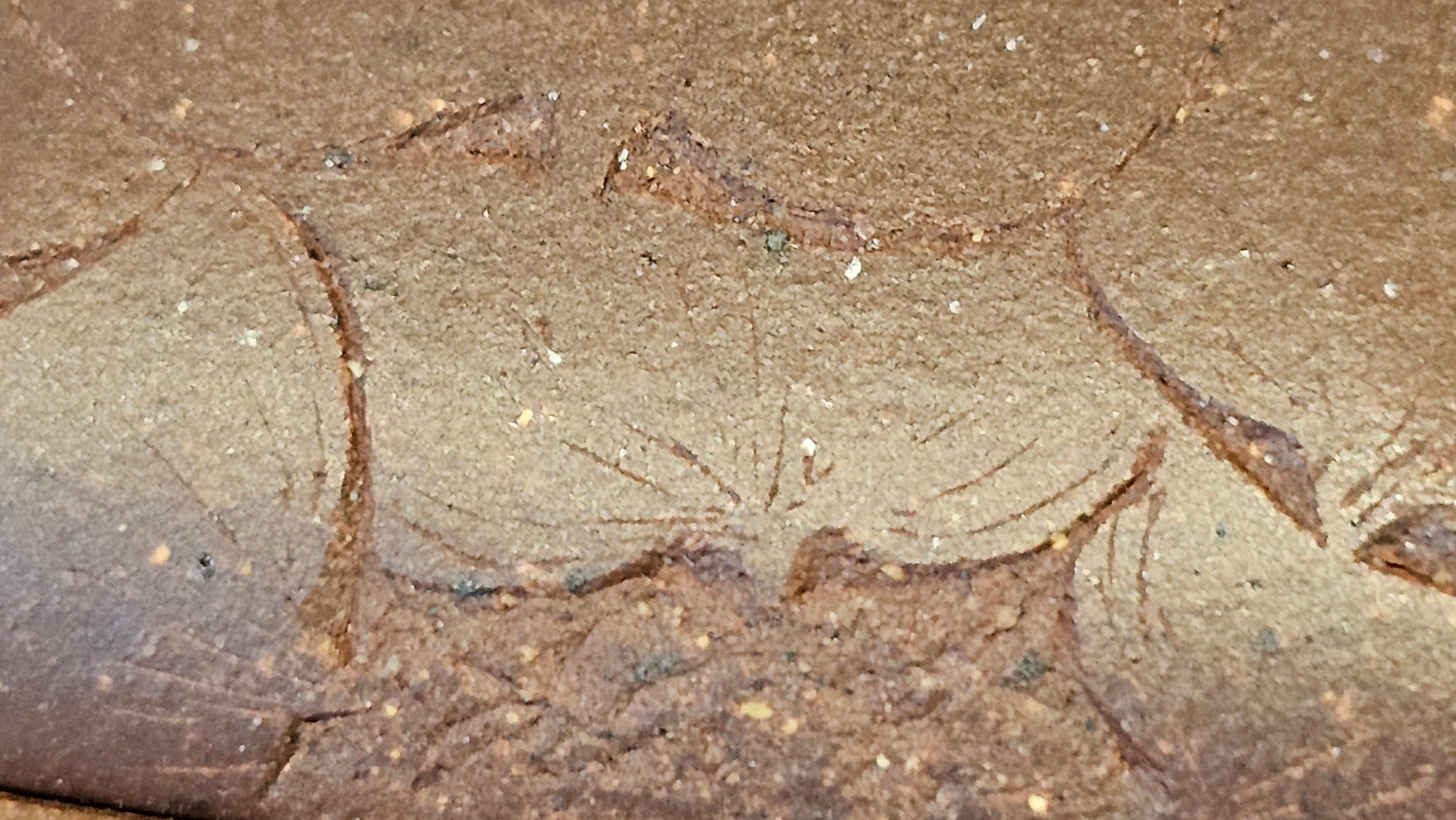 《六方半月》"Liu Fang Ban Yue", 290.1ml, "一饮涤昏寐，情思爽朗满天地" and Lotus Flower nengraving, Di Cao Qing Zi Ni 底槽青紫泥, by L2A Senior Consummate Artist Yuan Hui 袁辉 ~ Congratulations!to Ms M.L., 0732hrs 6th Sept 2025, Phoenix, AZ!