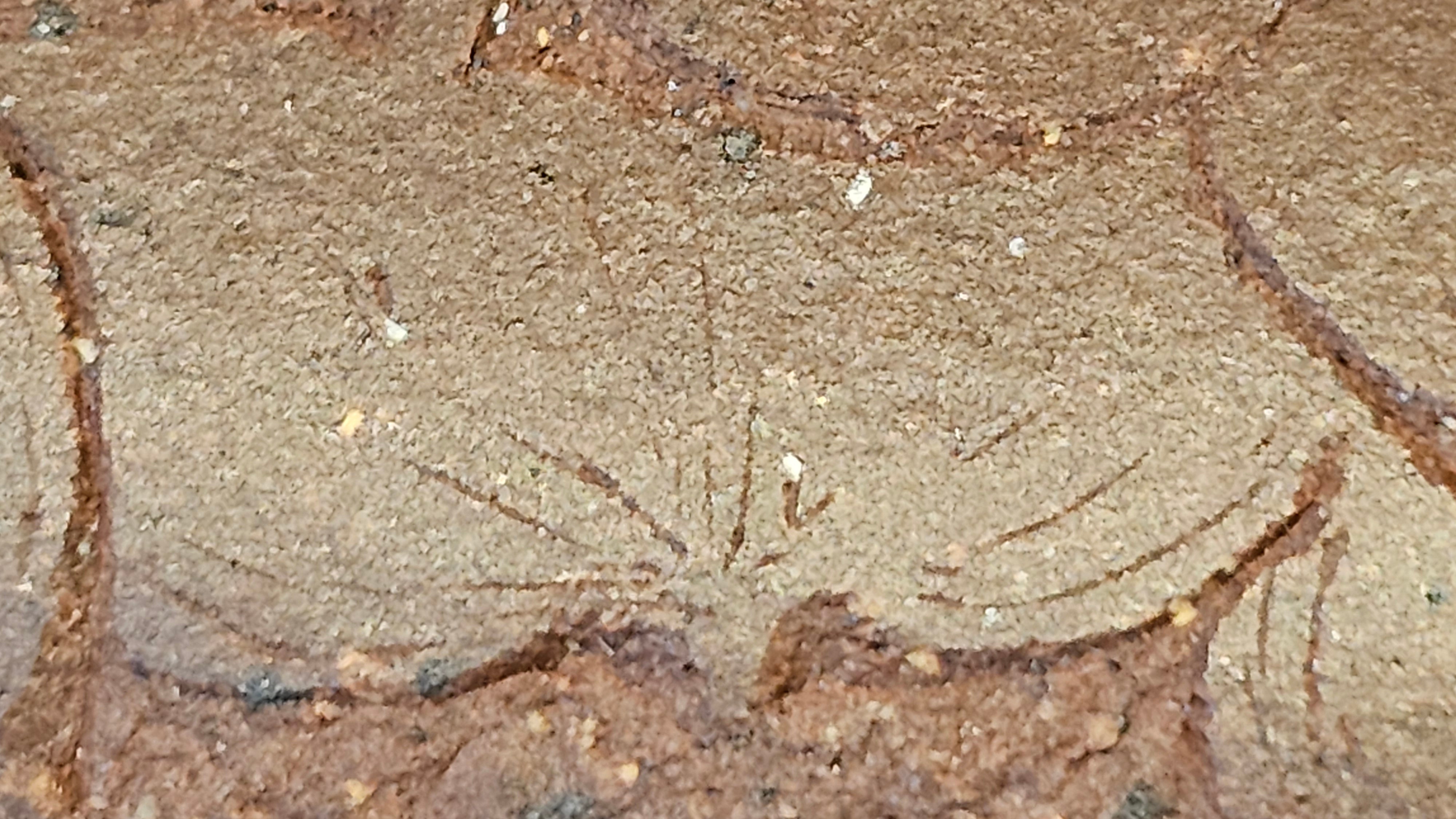 《六方半月》"Liu Fang Ban Yue", 290.1ml, "一饮涤昏寐，情思爽朗满天地" and Lotus Flower nengraving, Di Cao Qing Zi Ni 底槽青紫泥, by L2A Senior Consummate Artist Yuan Hui 袁辉 ~ Congratulations!to Ms M.L., 0732hrs 6th Sept 2025, Phoenix, AZ!