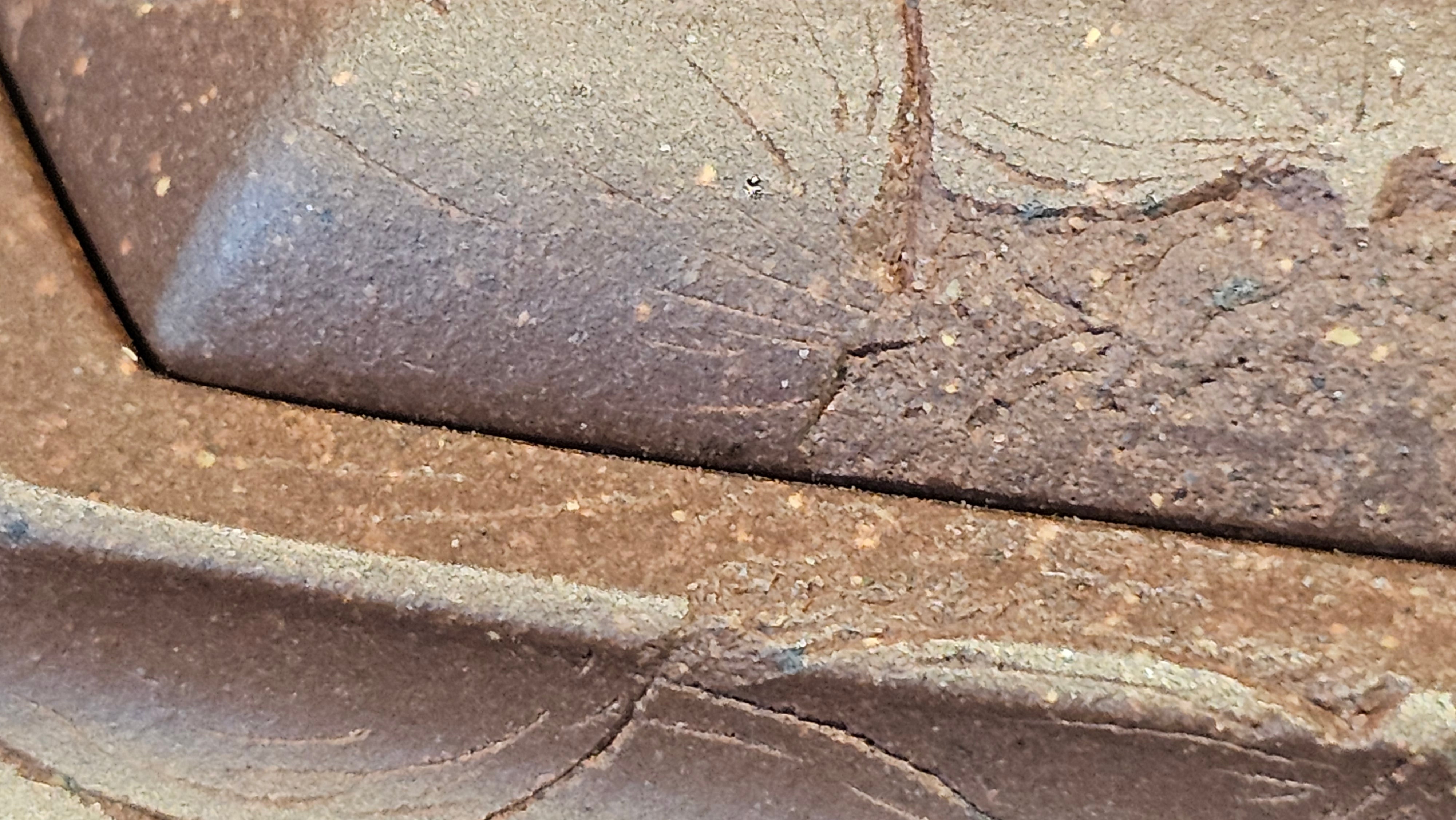 《六方半月》"Liu Fang Ban Yue", 290.1ml, "一饮涤昏寐，情思爽朗满天地" and Lotus Flower nengraving, Di Cao Qing Zi Ni 底槽青紫泥, by L2A Senior Consummate Artist Yuan Hui 袁辉 ~ Congratulations!to Ms M.L., 0732hrs 6th Sept 2025, Phoenix, AZ!