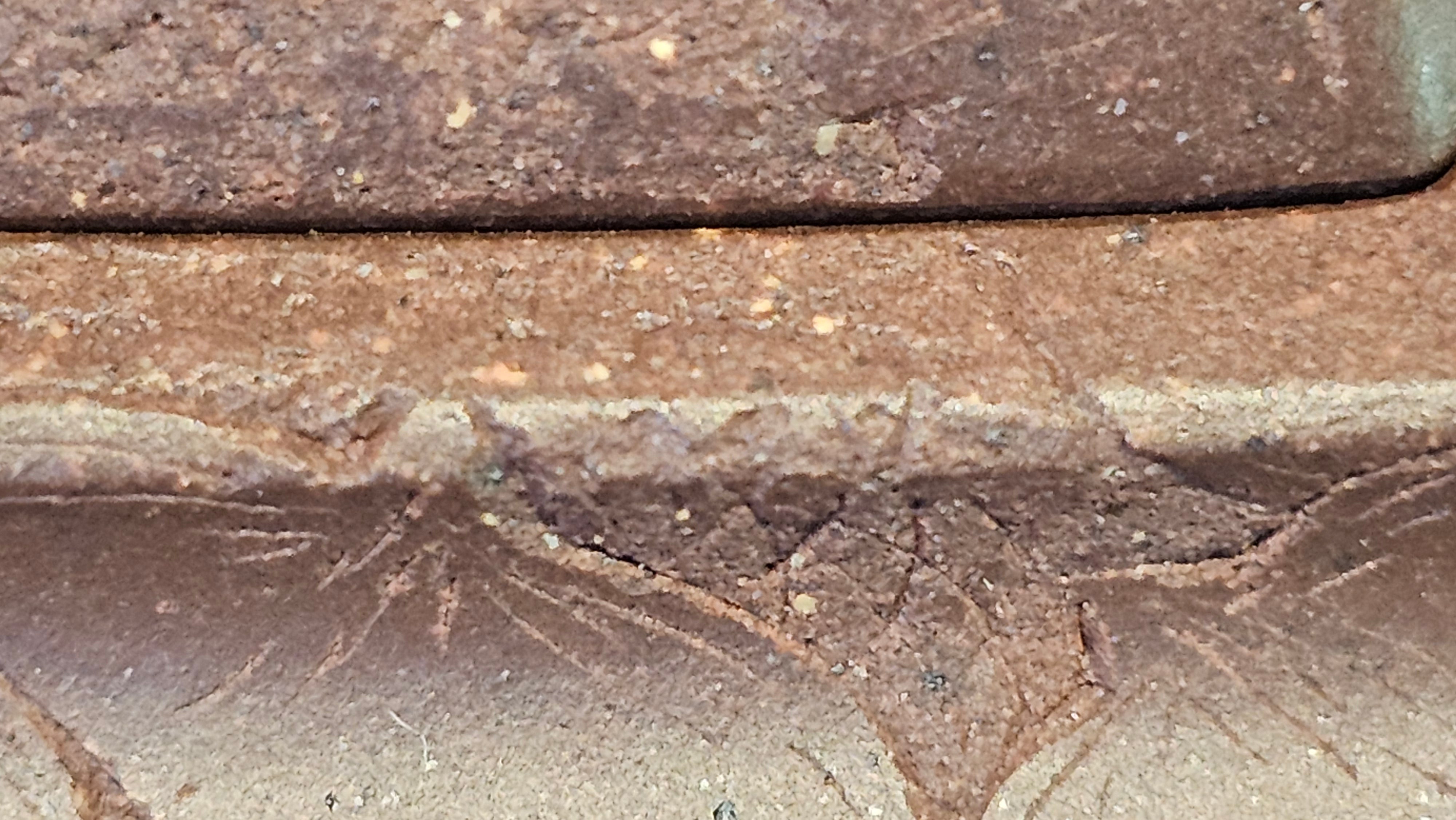 《六方半月》"Liu Fang Ban Yue", 290.1ml, "一饮涤昏寐，情思爽朗满天地" and Lotus Flower nengraving, Di Cao Qing Zi Ni 底槽青紫泥, by L2A Senior Consummate Artist Yuan Hui 袁辉 ~ Congratulations!to Ms M.L., 0732hrs 6th Sept 2025, Phoenix, AZ!