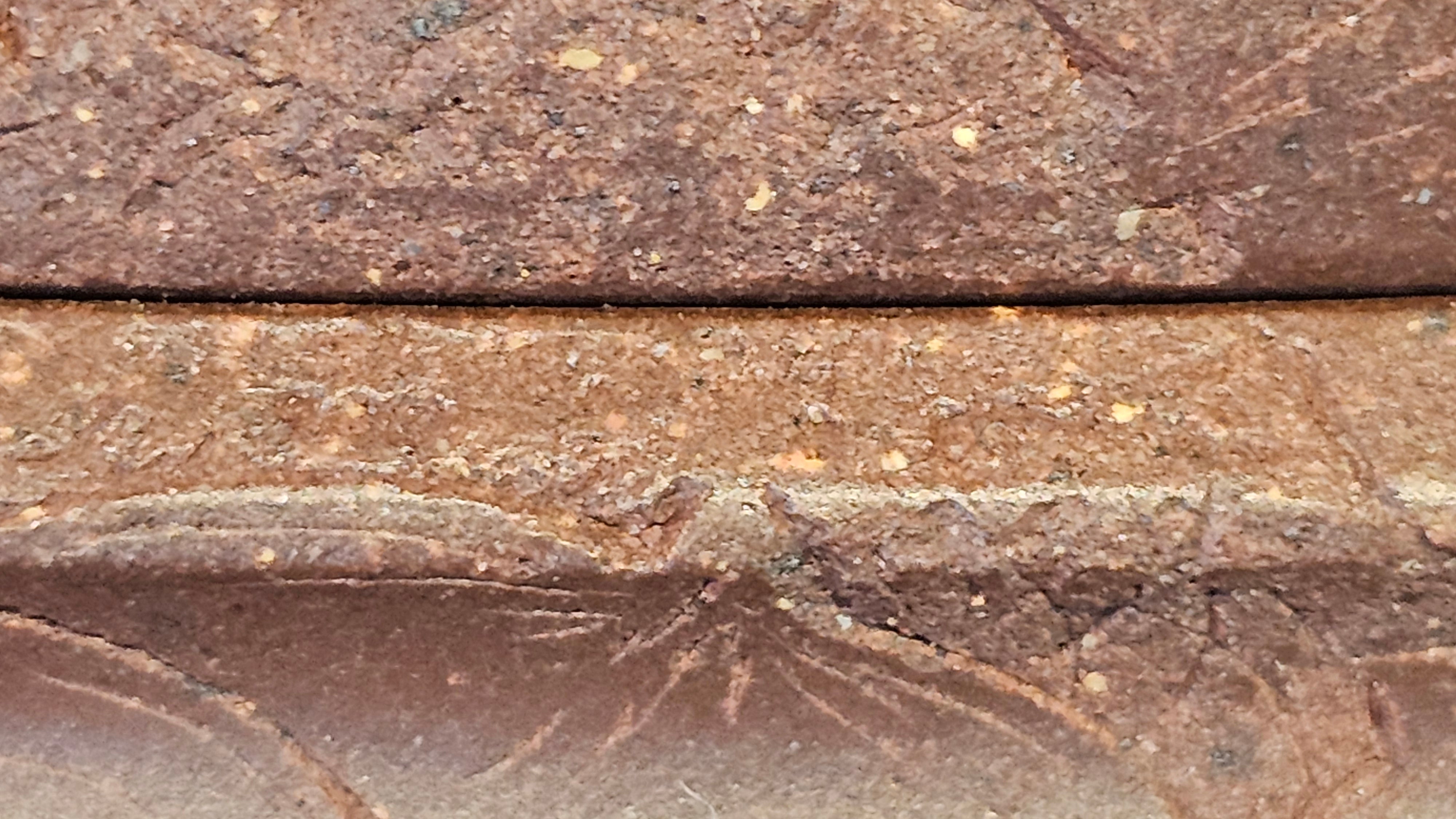 《六方半月》"Liu Fang Ban Yue", 290.1ml, "一饮涤昏寐，情思爽朗满天地" and Lotus Flower nengraving, Di Cao Qing Zi Ni 底槽青紫泥, by L2A Senior Consummate Artist Yuan Hui 袁辉 ~ Congratulations!to Ms M.L., 0732hrs 6th Sept 2025, Phoenix, AZ!