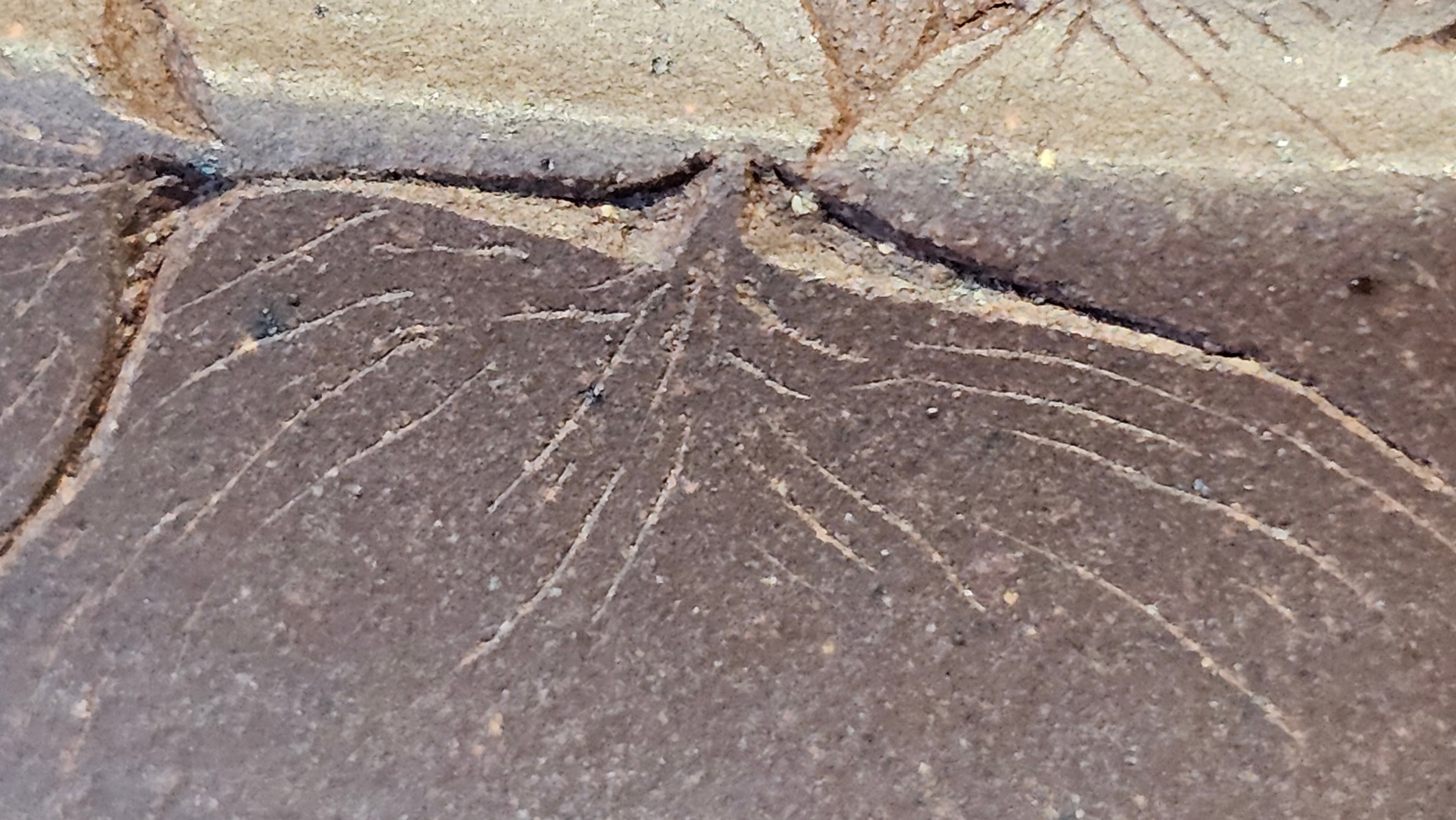 《六方半月》"Liu Fang Ban Yue", 290.1ml, "一饮涤昏寐，情思爽朗满天地" and Lotus Flower nengraving, Di Cao Qing Zi Ni 底槽青紫泥, by L2A Senior Consummate Artist Yuan Hui 袁辉 ~ Congratulations!to Ms M.L., 0732hrs 6th Sept 2025, Phoenix, AZ!