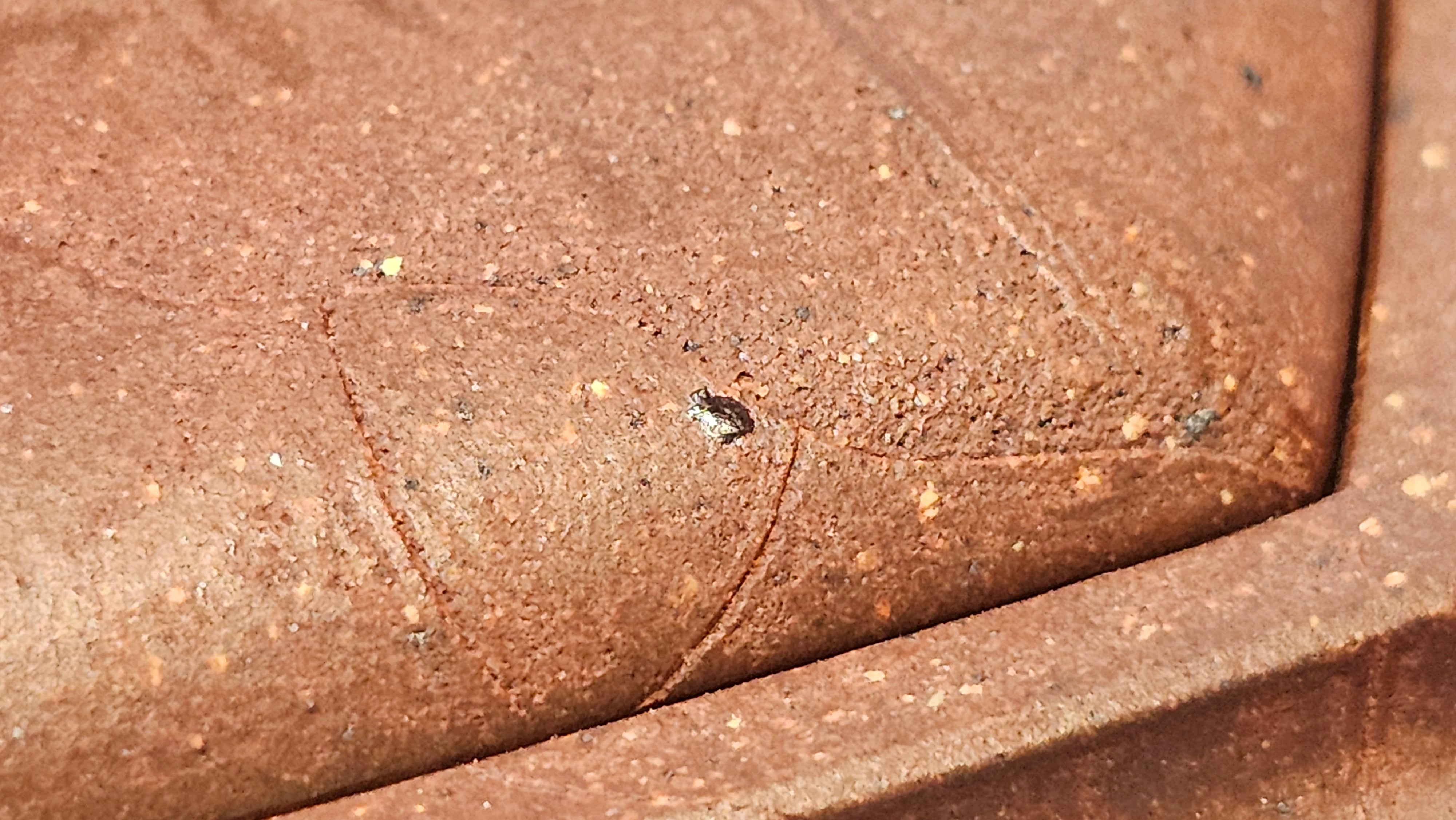 《六方半月》"Liu Fang Ban Yue", 290.1ml, "一饮涤昏寐，情思爽朗满天地" and Lotus Flower nengraving, Di Cao Qing Zi Ni 底槽青紫泥, by L2A Senior Consummate Artist Yuan Hui 袁辉 ~ Congratulations!to Ms M.L., 0732hrs 6th Sept 2025, Phoenix, AZ!