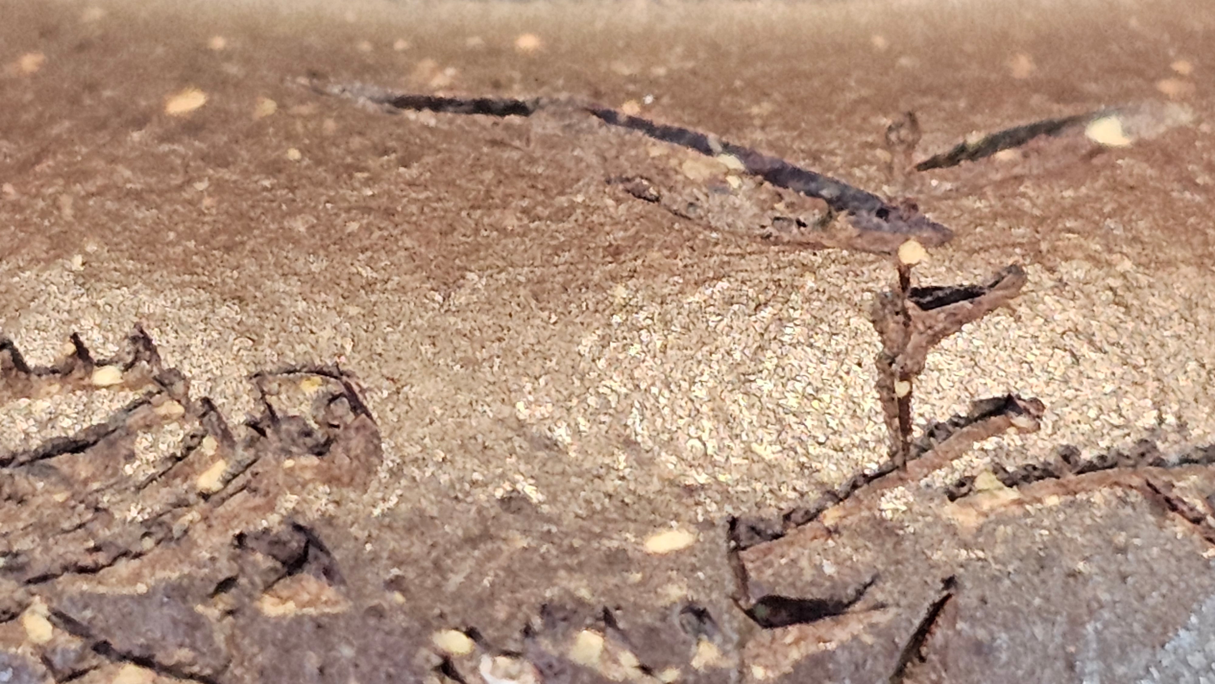 《平盖莲子》"Ping Gai Lian Zi", 233.9ml, Qing Hui Duan Ni 青灰段泥 ~ Crafted by L3A Consummate Master Artist Li Yan Ru 李艳如 ~ Congratulations to Dr W.S.! 1012hrs 6th Sept 2025! Phoenix, AZ!