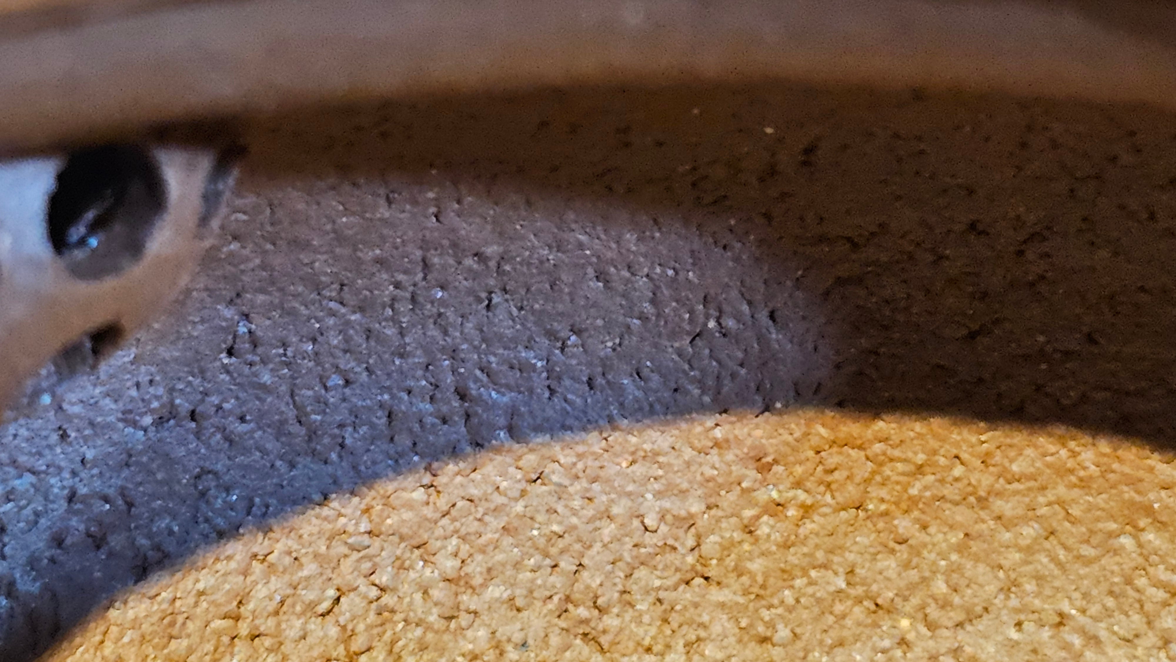 Fang Gu 仿古, 213.5ml, Di Cao Qing Zi Ni 底槽青紫泥, by our Collaborative Craftsman Chen Fa Chu 陈法初 ~!Congratulations to Mr E.A.! 2303hrs 10th Sept 2025, Colorado Springs, CO!