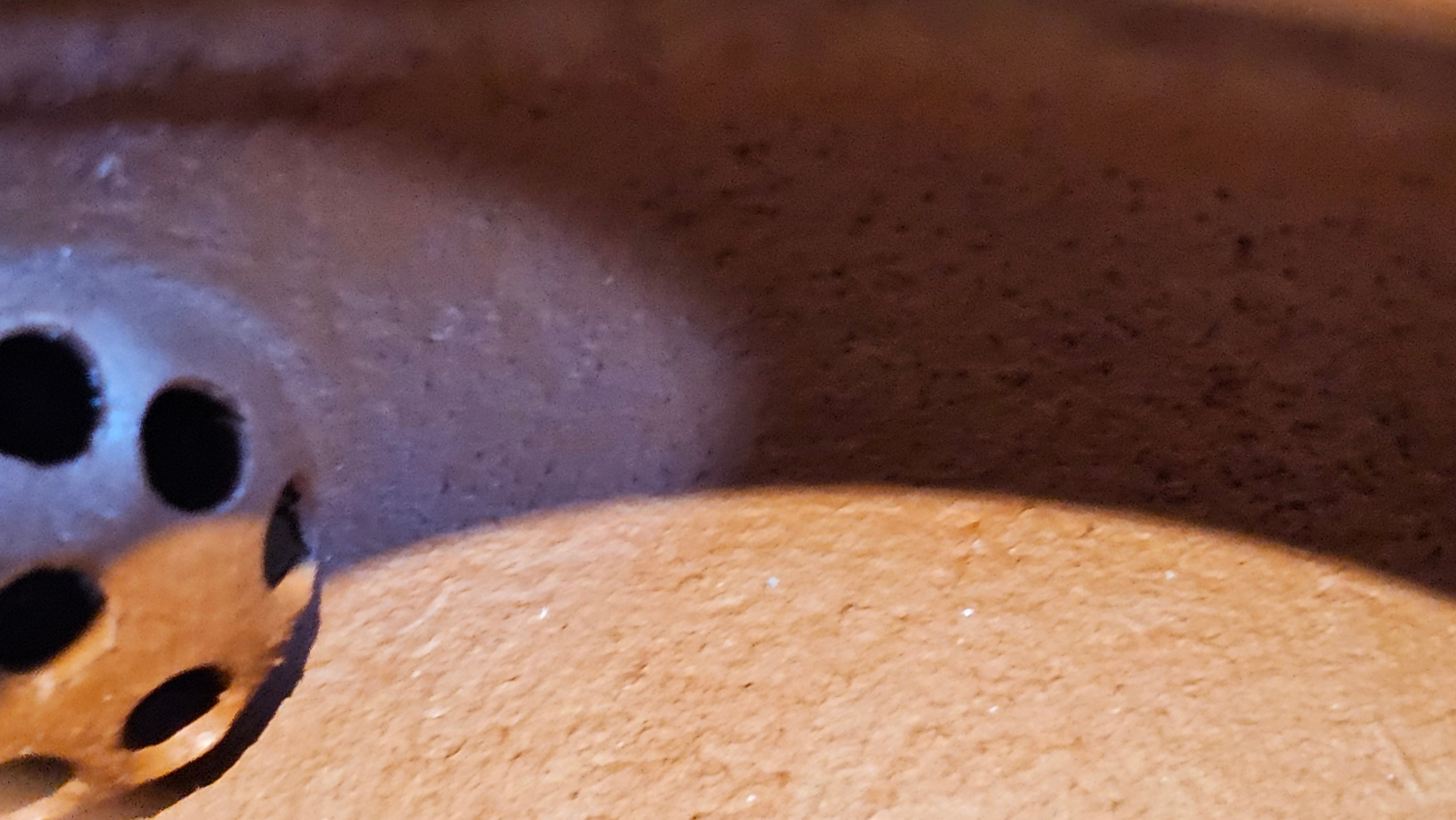 Li Xing 梨形, 151.8ml, Xiao Mei Yao Zhu Ni 小煤窑朱泥 by Craftsman Zhai Yi Yao 翟一耀 ~!Congratulations to Mr K.S.! 0052hrs 10th Sept 2025, Greenville, SC!