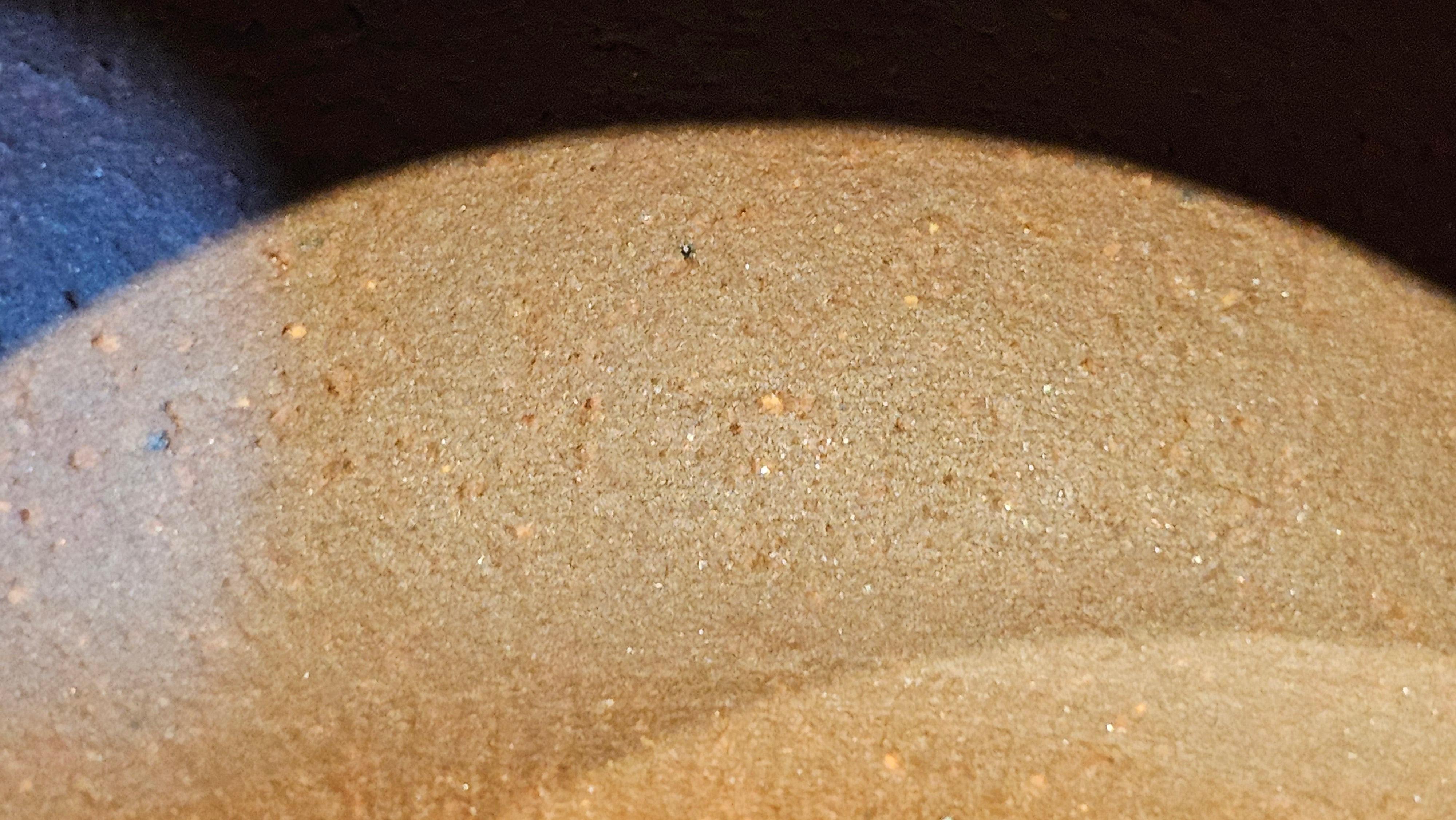 Xuan Zhu Hu 玄珠壶, 140.1ml, Zi Ni 紫泥, by our Craftsman Fan Xiao Zhi 范小智 ~ Congratulations!to Mr A.D., 1954hrs 9th Sept 2025, Old Bridge, NJ!