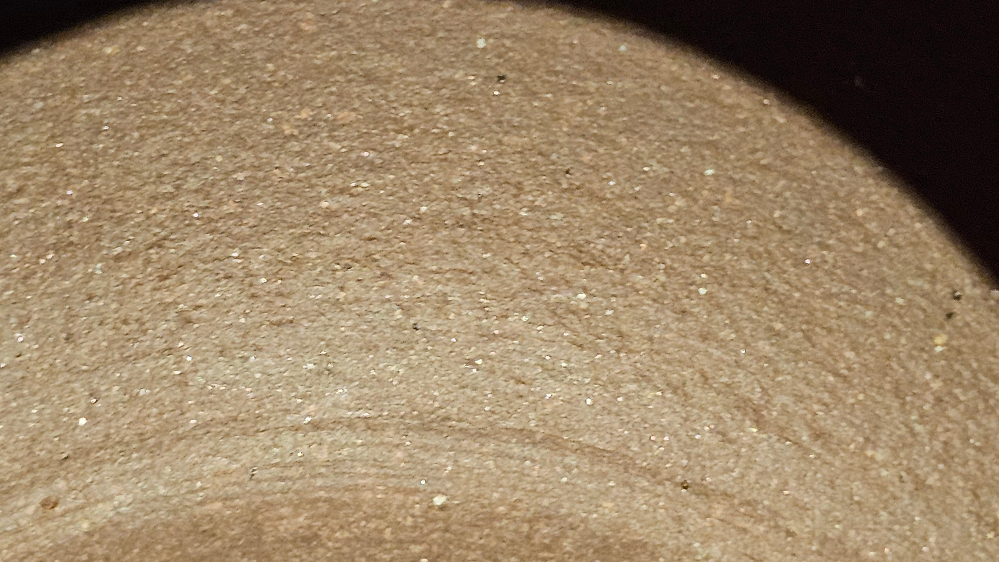 Commissioned ZiSha Work, 220.3ml, Lian Zi 莲子, by Senior Master Cao Lan Fang 曹兰芳, Engraving of Orchids 兰花刻绘 by Senior Master Artist Jiang Hui 蒋惠, Calligraphy Engraving specially by Master Wang Chao Peng 王超鹏~COMPLETED!and CONGRATULATIONS to Mr J.L., TX.