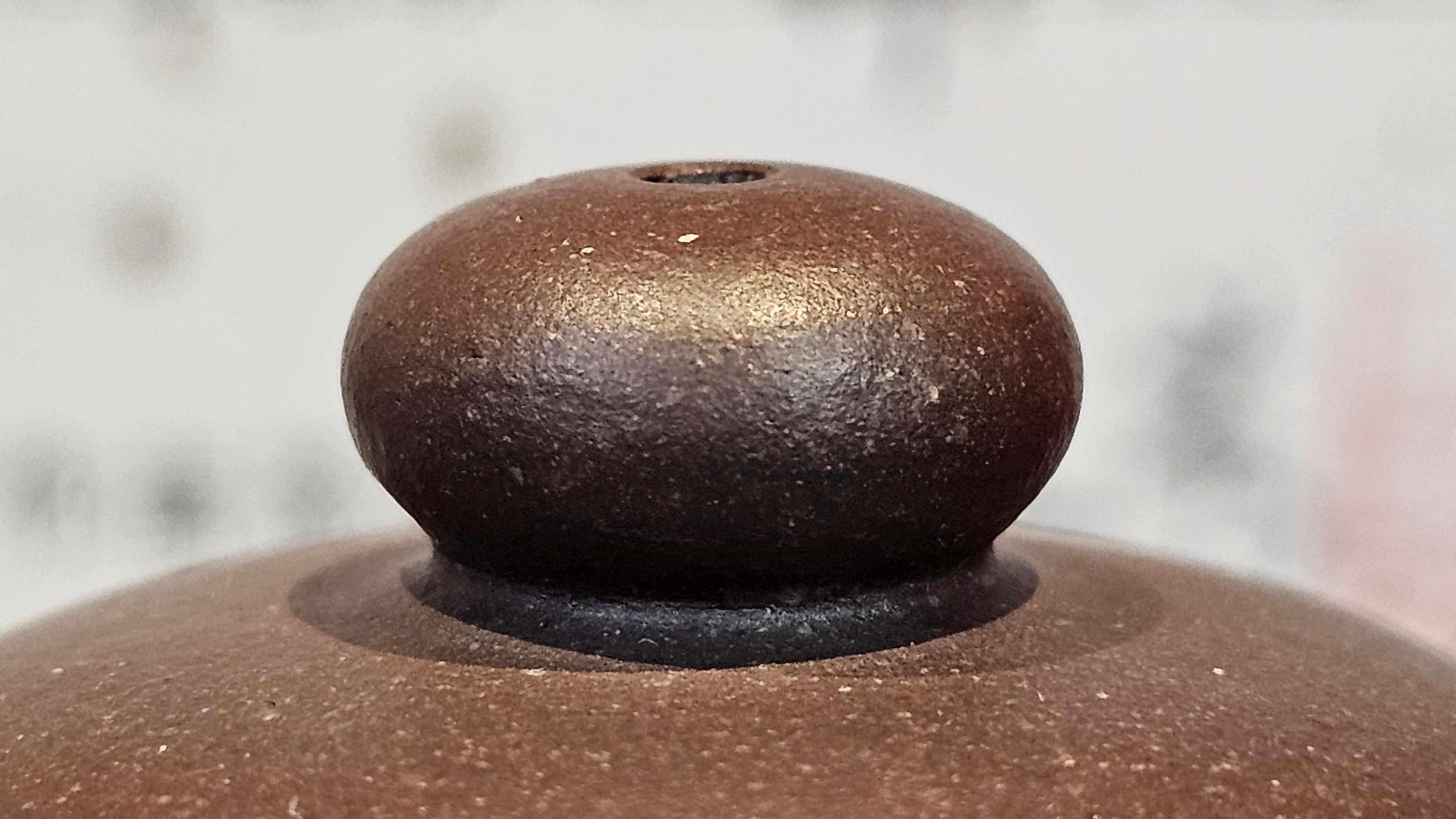 Commissioned ZiSha Work, 220.3ml, Lian Zi 莲子, by Senior Master Cao Lan Fang 曹兰芳, Engraving of Orchids 兰花刻绘 by Senior Master Artist Jiang Hui 蒋惠, Calligraphy Engraving specially by Master Wang Chao Peng 王超鹏~COMPLETED!and CONGRATULATIONS to Mr J.L., TX.