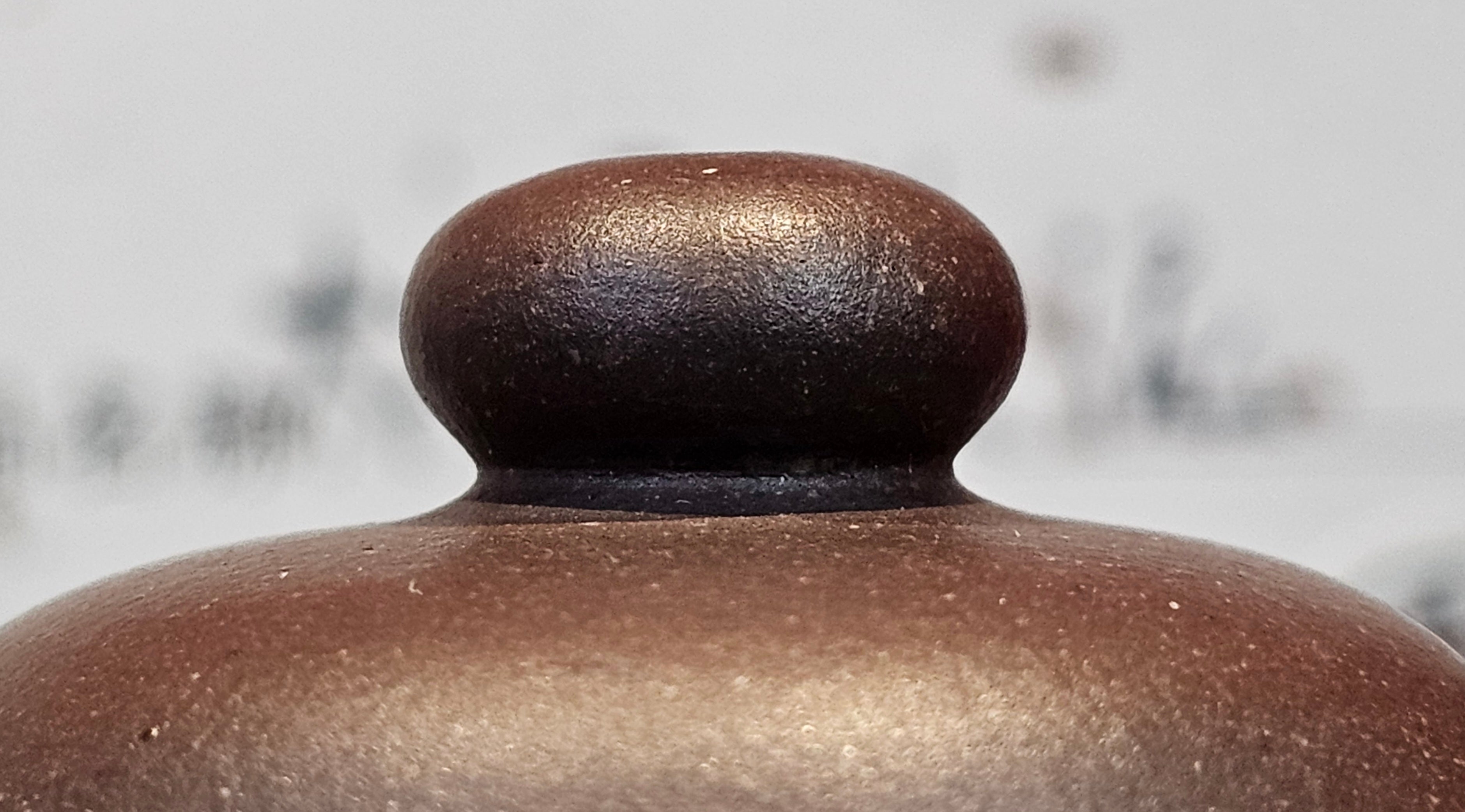 Commissioned ZiSha Work, 220.3ml, Lian Zi 莲子, by Senior Master Cao Lan Fang 曹兰芳, Engraving of Orchids 兰花刻绘 by Senior Master Artist Jiang Hui 蒋惠, Calligraphy Engraving specially by Master Wang Chao Peng 王超鹏~COMPLETED!and CONGRATULATIONS to Mr J.L., TX.