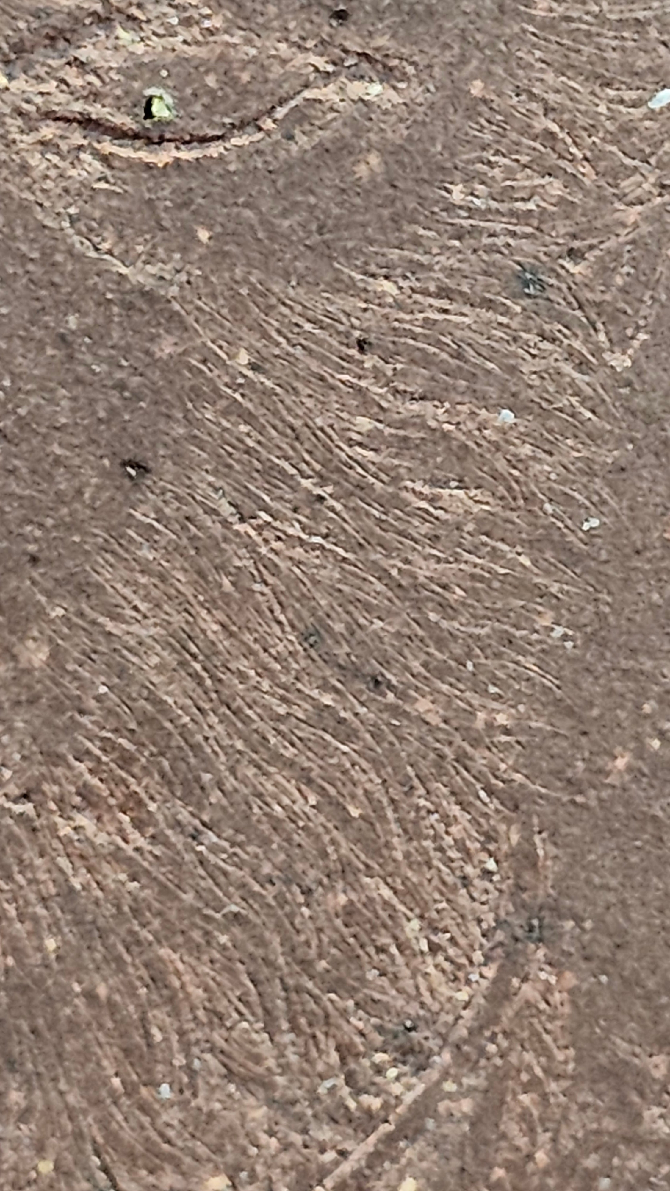 Commissioned work for Mr D.H.:《四方博古》Si Fang Bo Gu, 551.0ml, 底槽青, by Senior Consummate Master Yuan Hui, & Realism Engraving by Master Yi Dian 一颠 with Gameplay BMW's The Great Sage theme ~ COMPLETED & CONGRATULATIONS! to Mr D.H., Baldwin Park, CA.