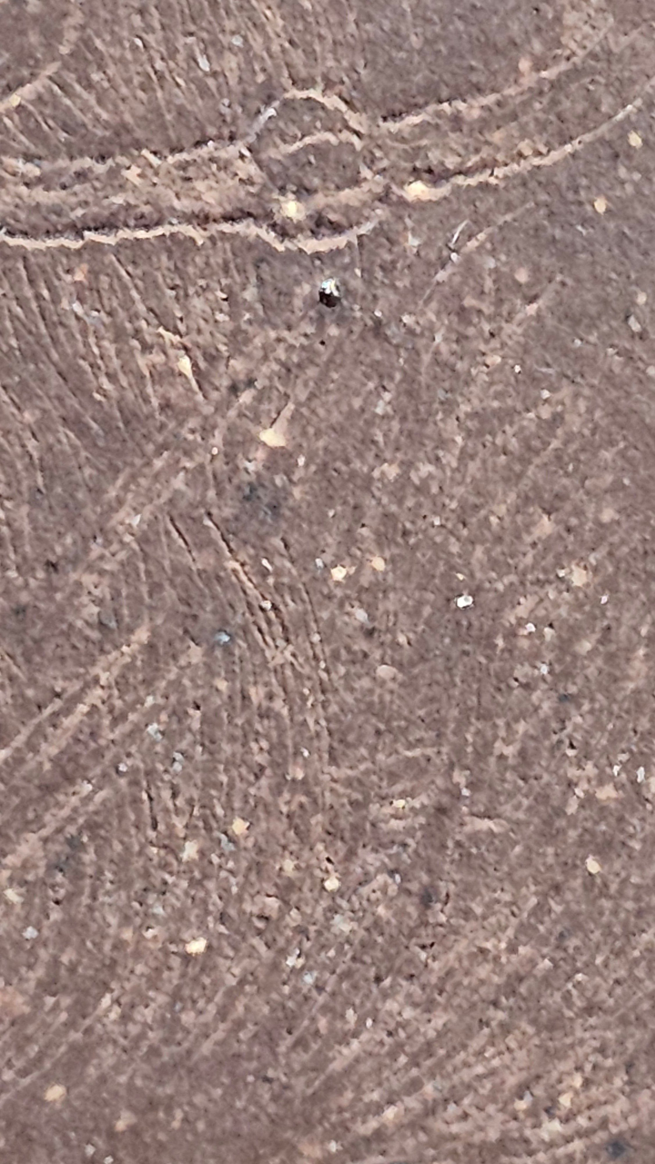 Commissioned work for Mr D.H.:《四方博古》Si Fang Bo Gu, 551.0ml, 底槽青, by Senior Consummate Master Yuan Hui, & Realism Engraving by Master Yi Dian 一颠 with Gameplay BMW's The Great Sage theme ~ COMPLETED & CONGRATULATIONS! to Mr D.H., Baldwin Park, CA.