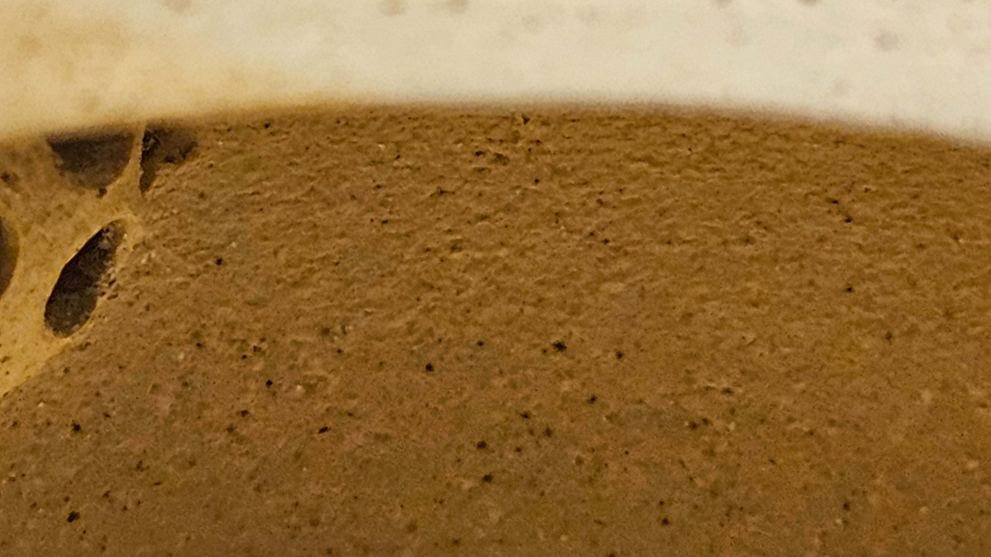 Commissioned work for Mr Thomas L. ZiSha work《耀日》"Yao Ri", Ben Shan Duan Ni 本山段泥, crafted by L3A Consummate Master Artist Li Yan Ru 振兴技艺师兼工艺美术师, 李艳如 ~ COMPLETED, and CONGRATULATIONS to Mr Thomas L.!from Singapore🇸🇬.