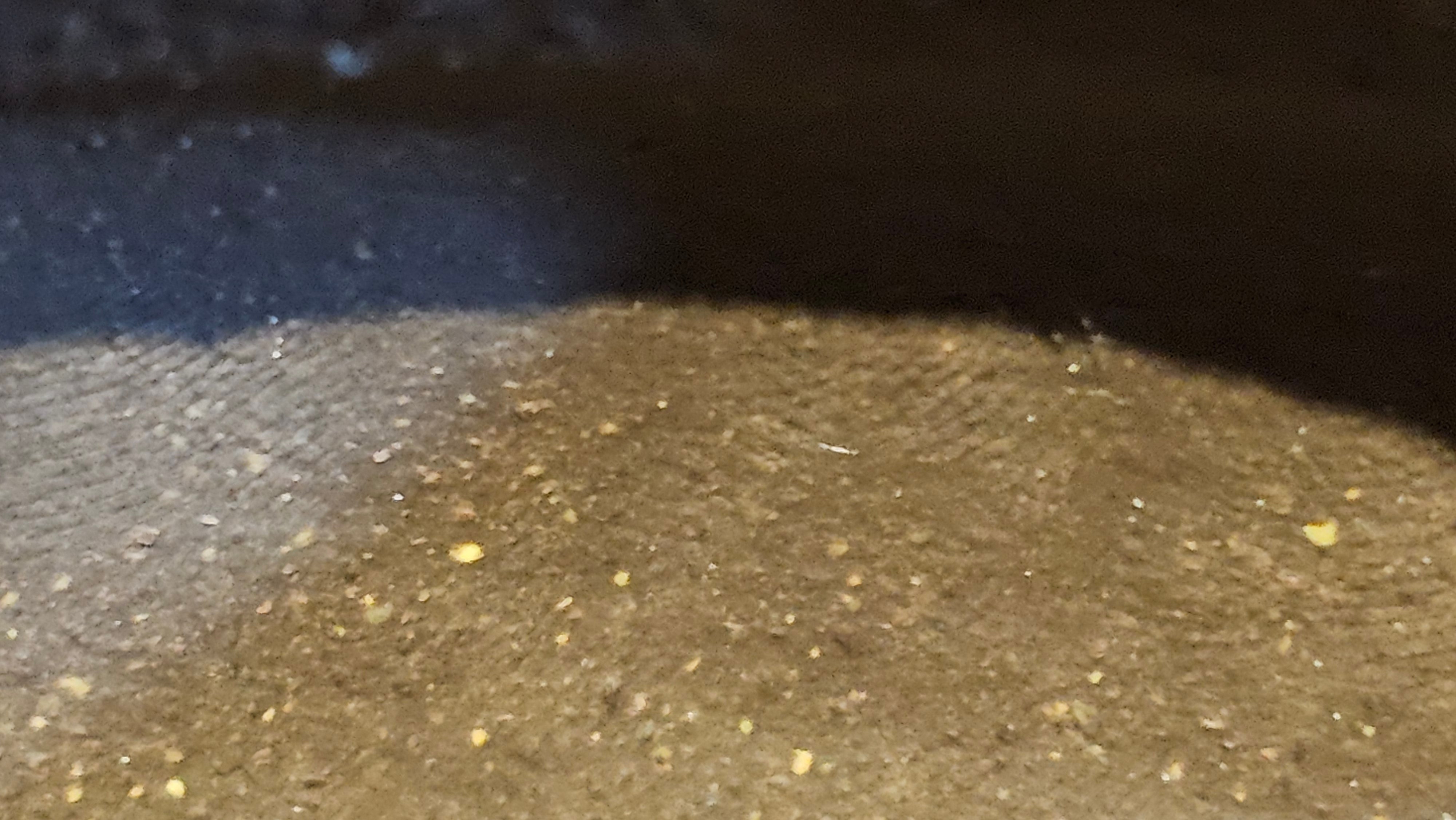 《聚富平盖莲子》"Ju Fu ~Gathering of Wealth~ Ping Gai Lian Zi"!, 描金与撒金工艺 Dual Gold Appliqué, 233.3ml, Qing Hui Duan Ni 青灰段泥 ~ by L3A Consummate Master Artist Li Yan Ru 李艳如 ~!Congratulations to Mr R.L.! 0857hrs 16th Sept 2025, Flintridge! CA.