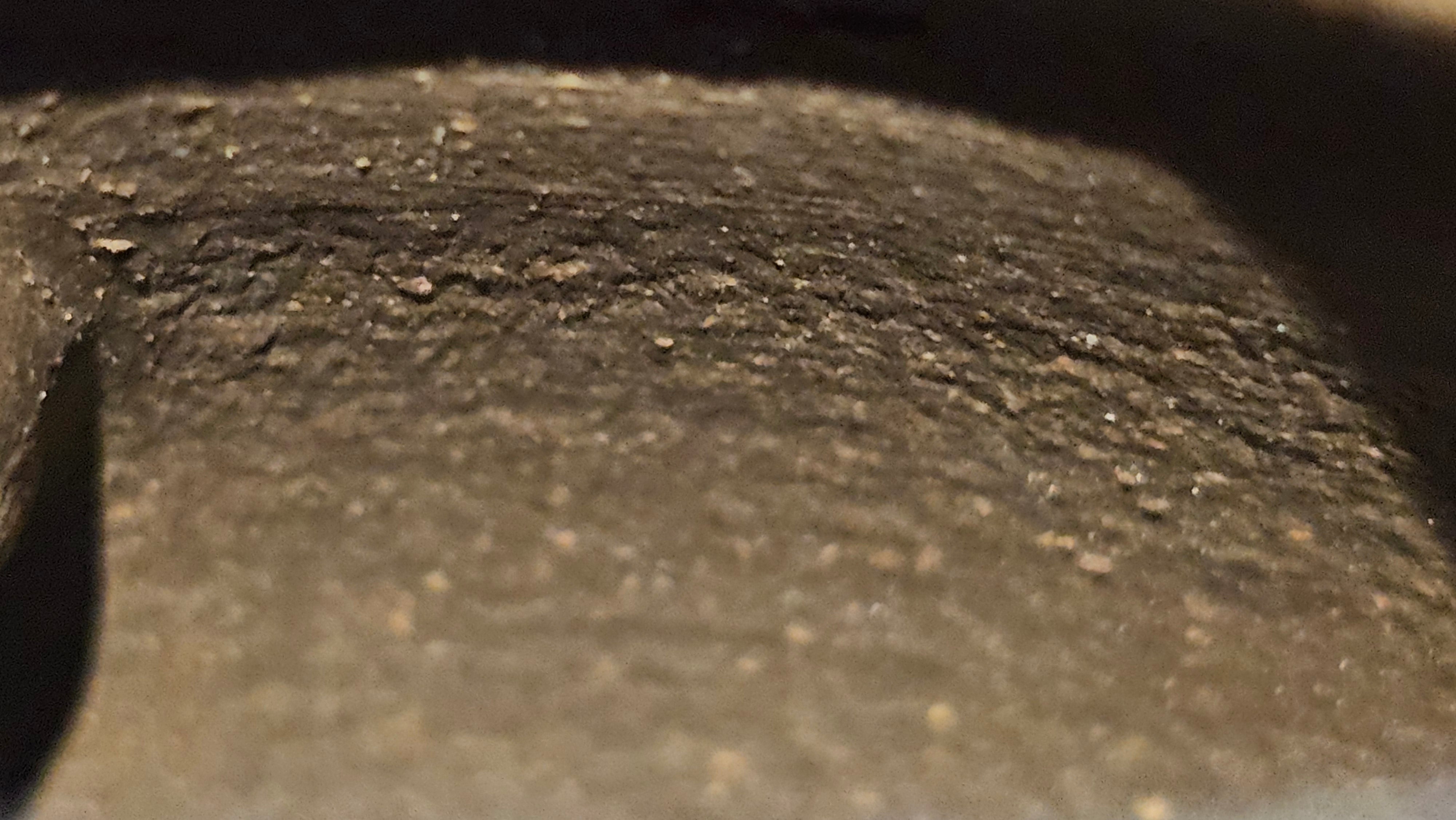 Qie Gua《茄瓜》~ "The Gourd", 153.8ml, Hei Zi Ni 黑紫泥, by our Craftsman Zhang Huan 张欢, Calligraphy and 兰花 Orchids Engraving by Craftsman Yi Cheng 逸成 ~!Congratulations to Mr J.S.! 1100hrs 17th Sept 2025, Chicago! IL!