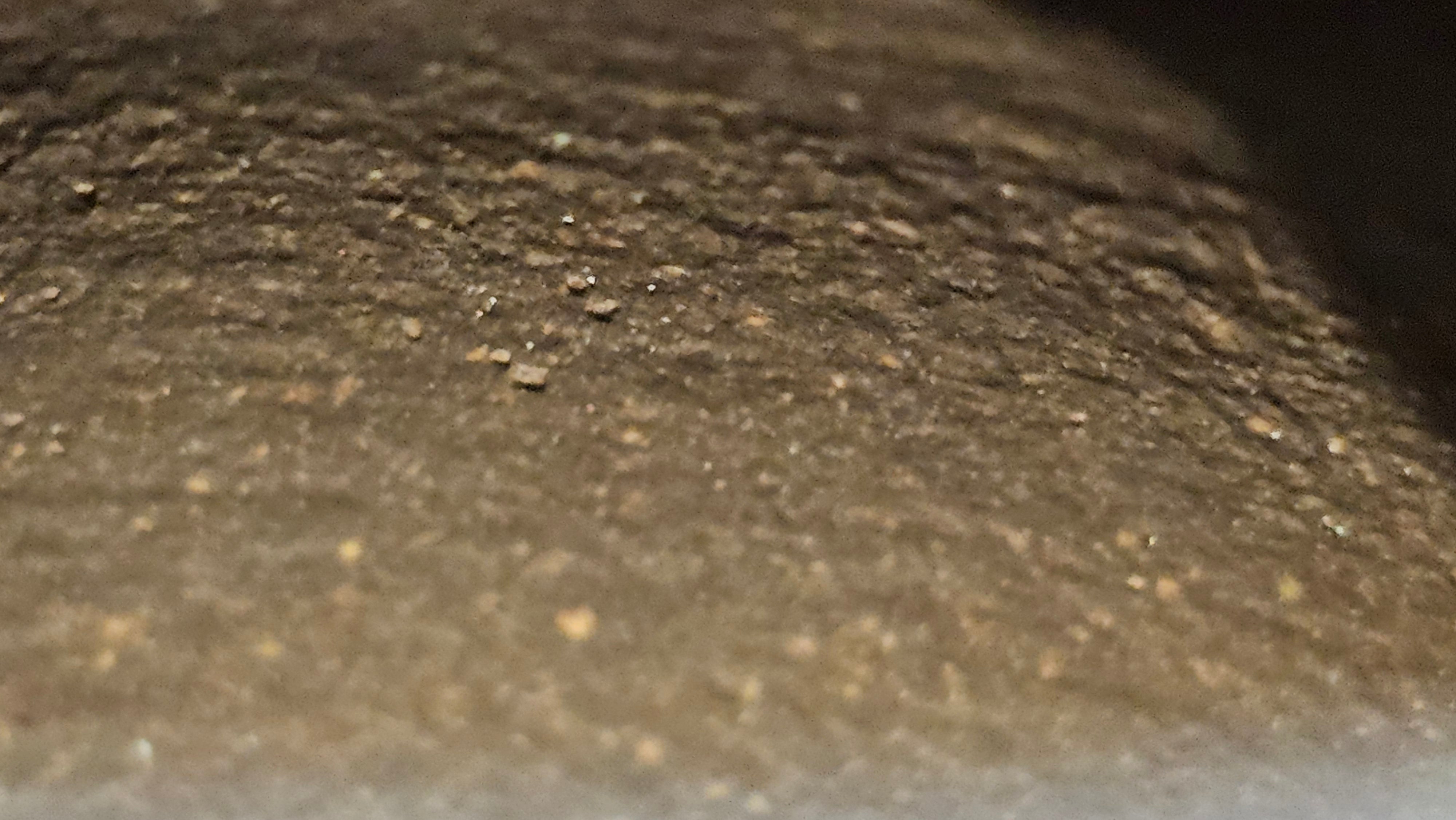 Qie Gua《茄瓜》~ "The Gourd", 153.8ml, Hei Zi Ni 黑紫泥, by our Craftsman Zhang Huan 张欢, Calligraphy and 兰花 Orchids Engraving by Craftsman Yi Cheng 逸成 ~!Congratulations to Mr J.S.! 1100hrs 17th Sept 2025, Chicago! IL!